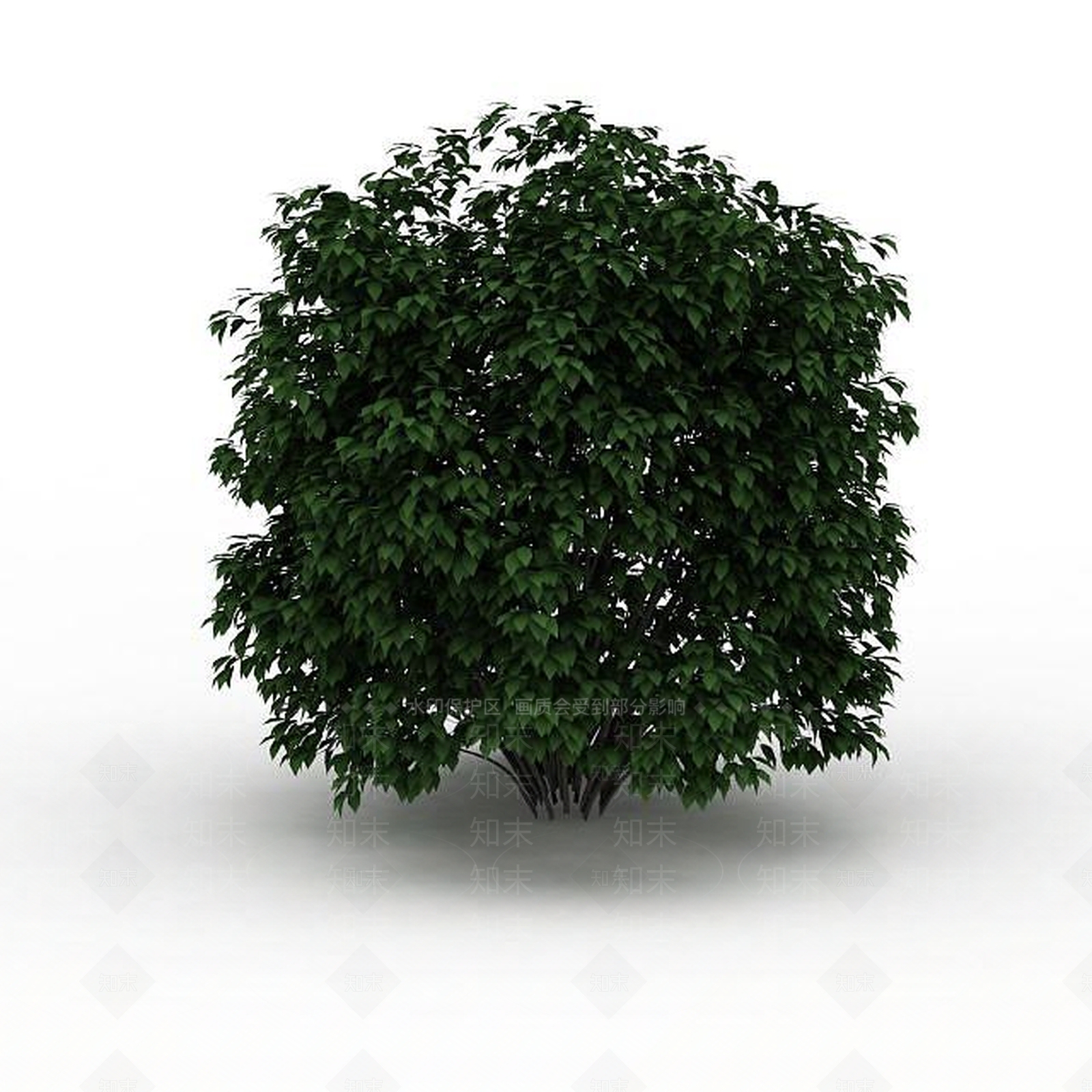 现代景观树3D模型下载【ID:1199036699】