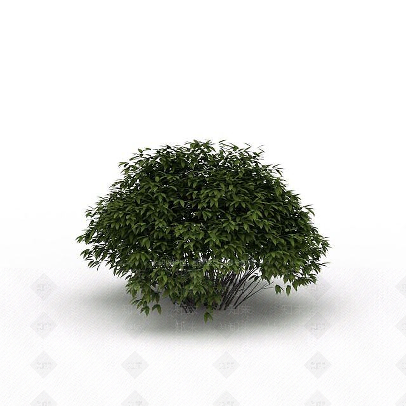 现代灌木3D模型下载【ID:1199036736】
