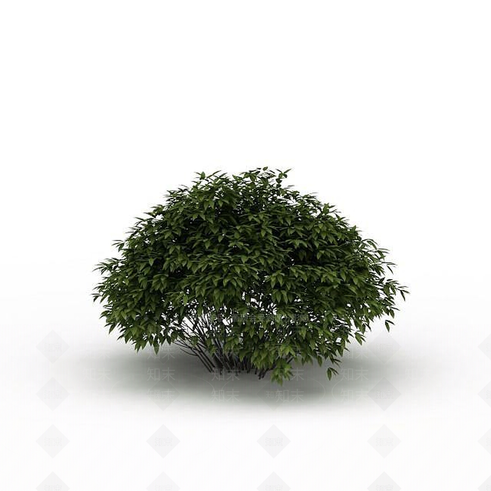 现代灌木3D模型下载【ID:1199036736】