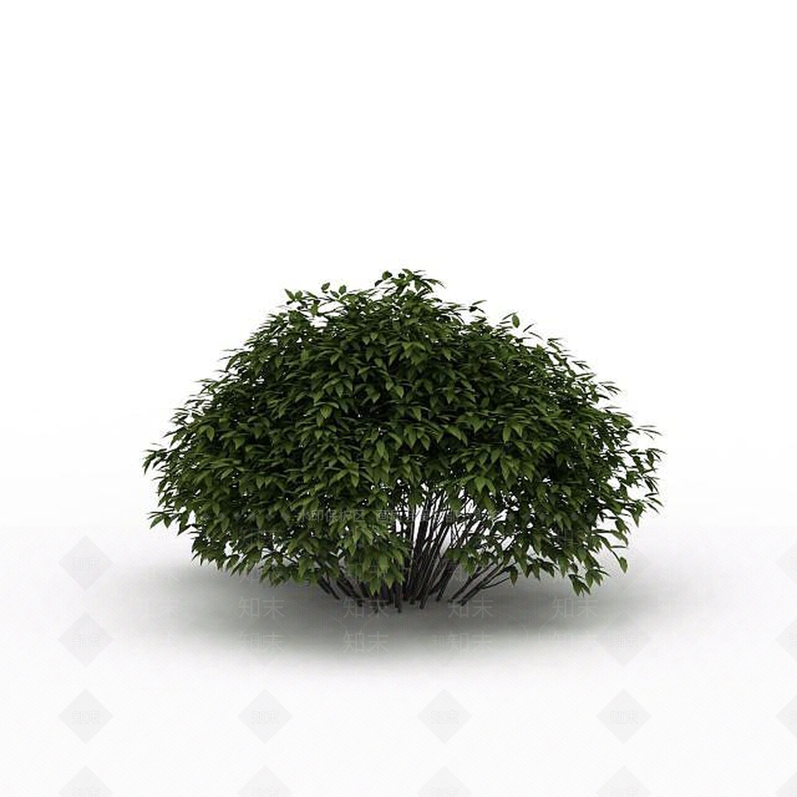 现代灌木3D模型下载【ID:1199036736】