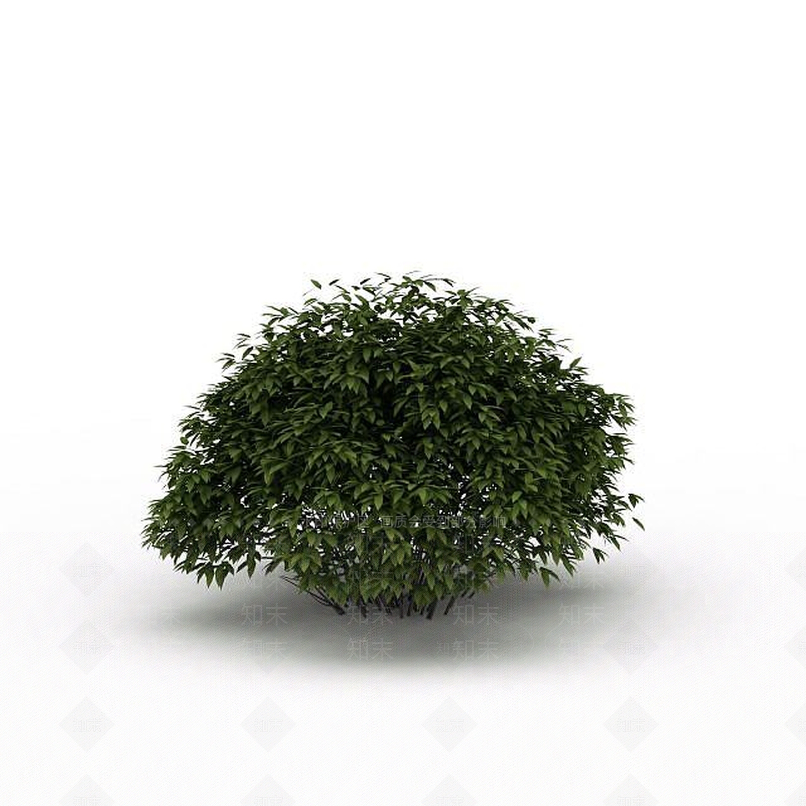 现代灌木3D模型下载【ID:1199036736】