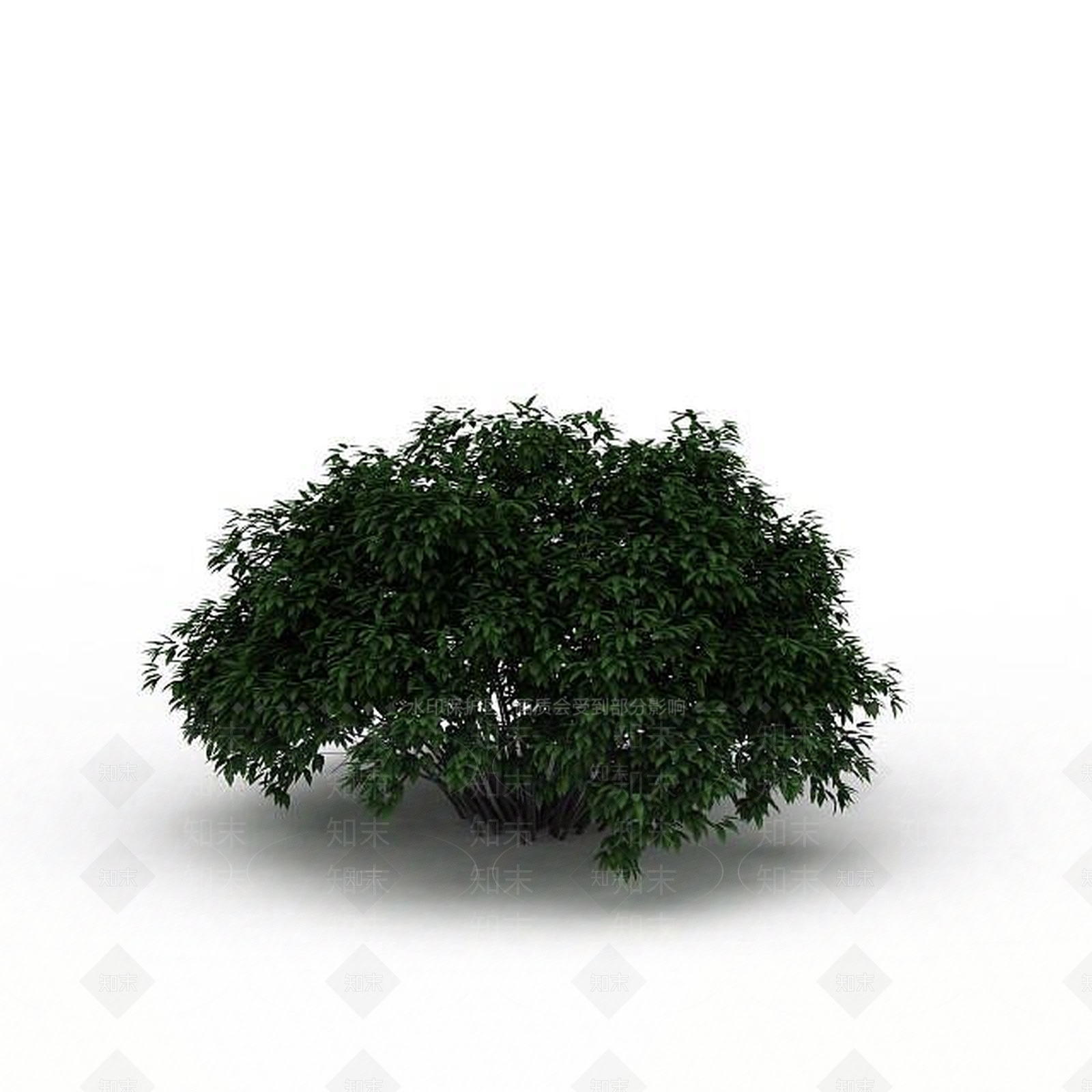 现代室外灌木3D模型下载【ID:1199036719】