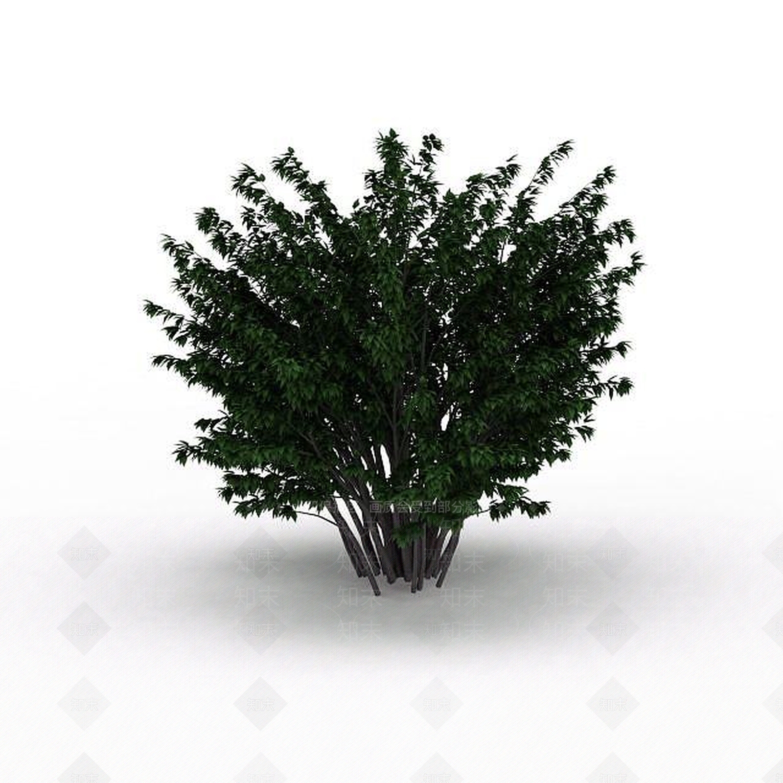 现代室外景观树3D模型下载【ID:1199036830】