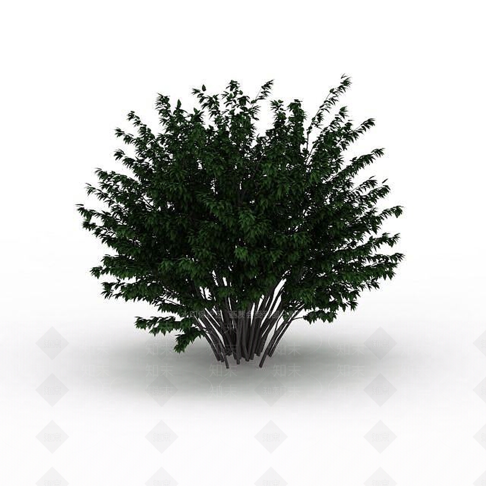 现代室外景观树3D模型下载【ID:1199036830】