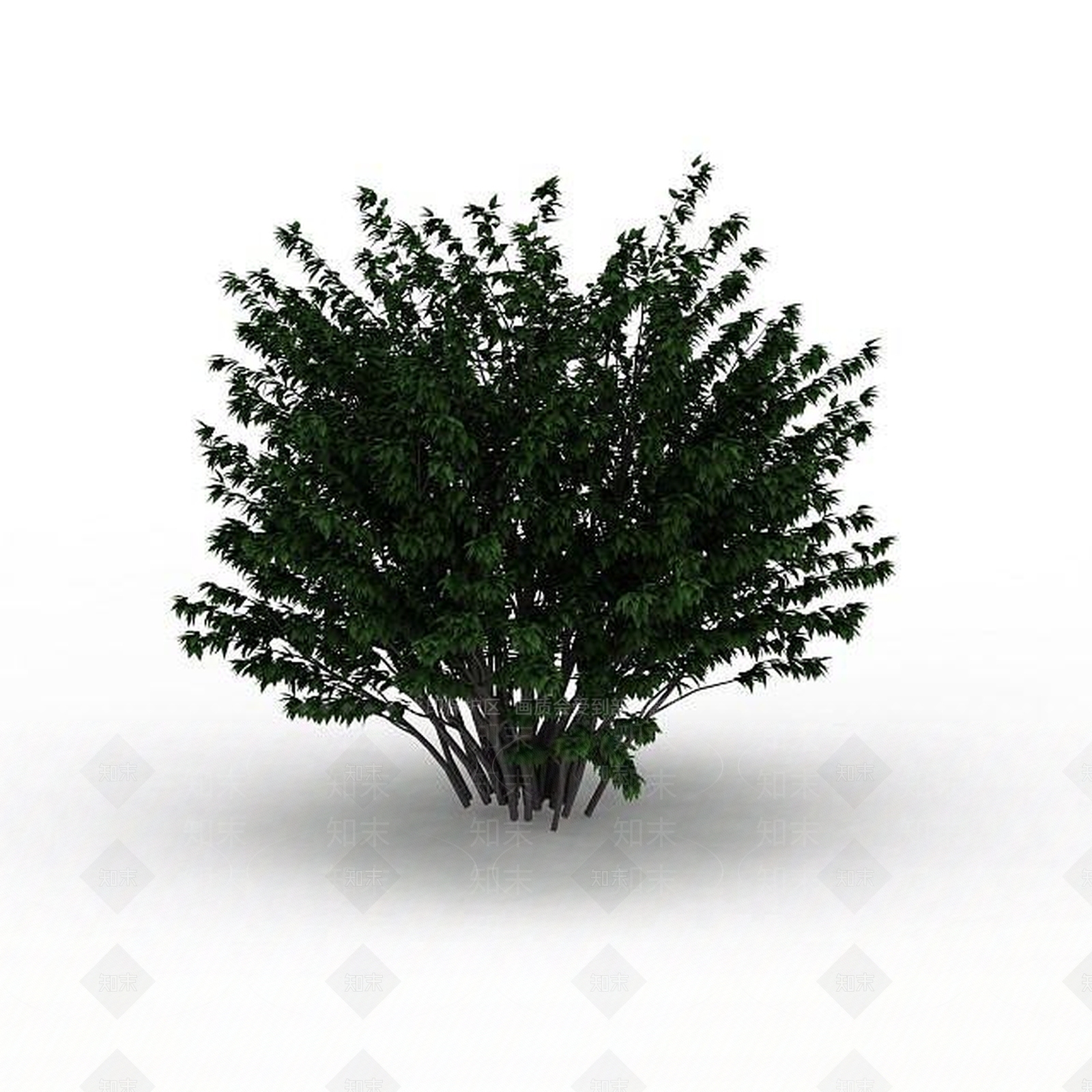 现代室外景观树3D模型下载【ID:1199036830】