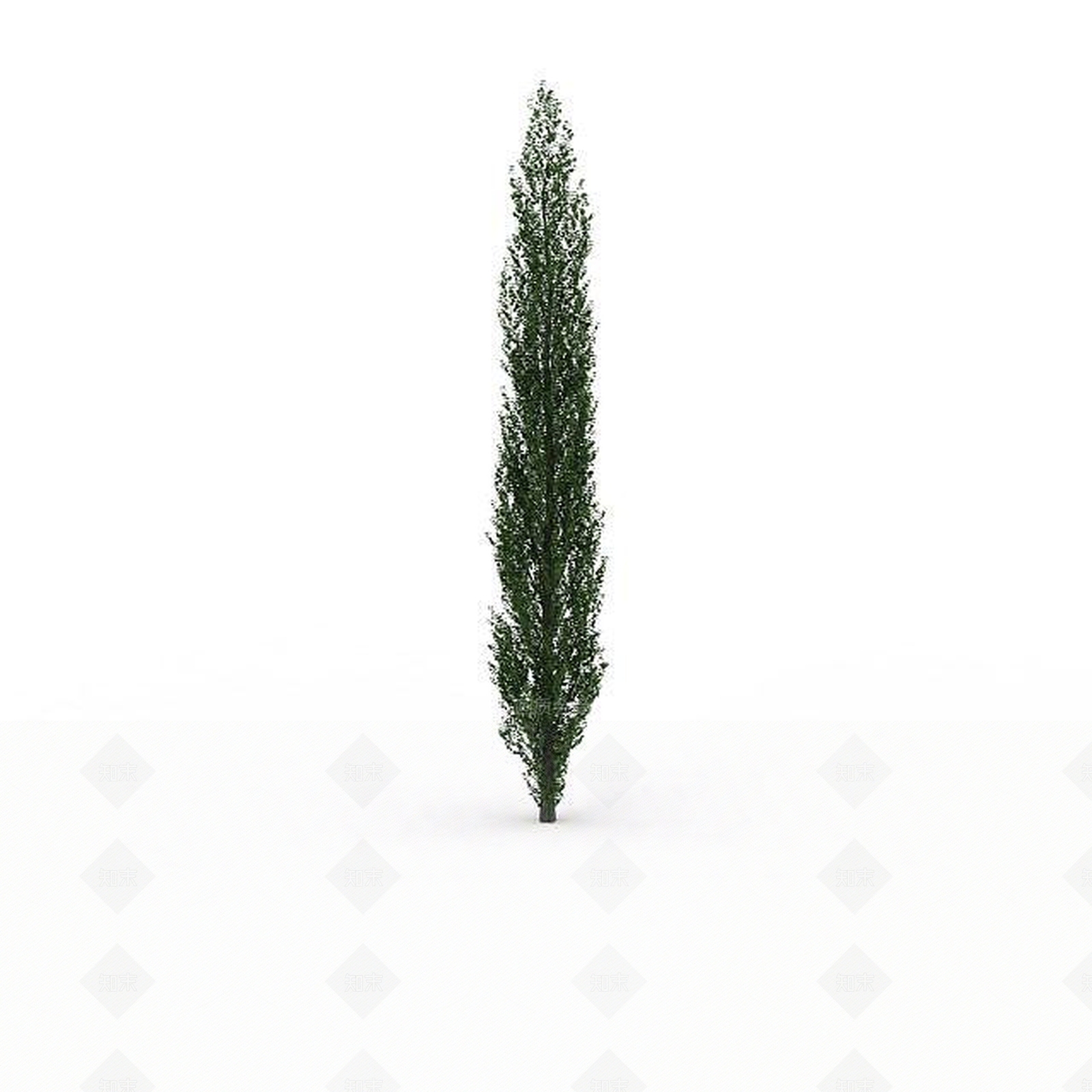 现代绿化装饰树3D模型下载【ID:1199036934】