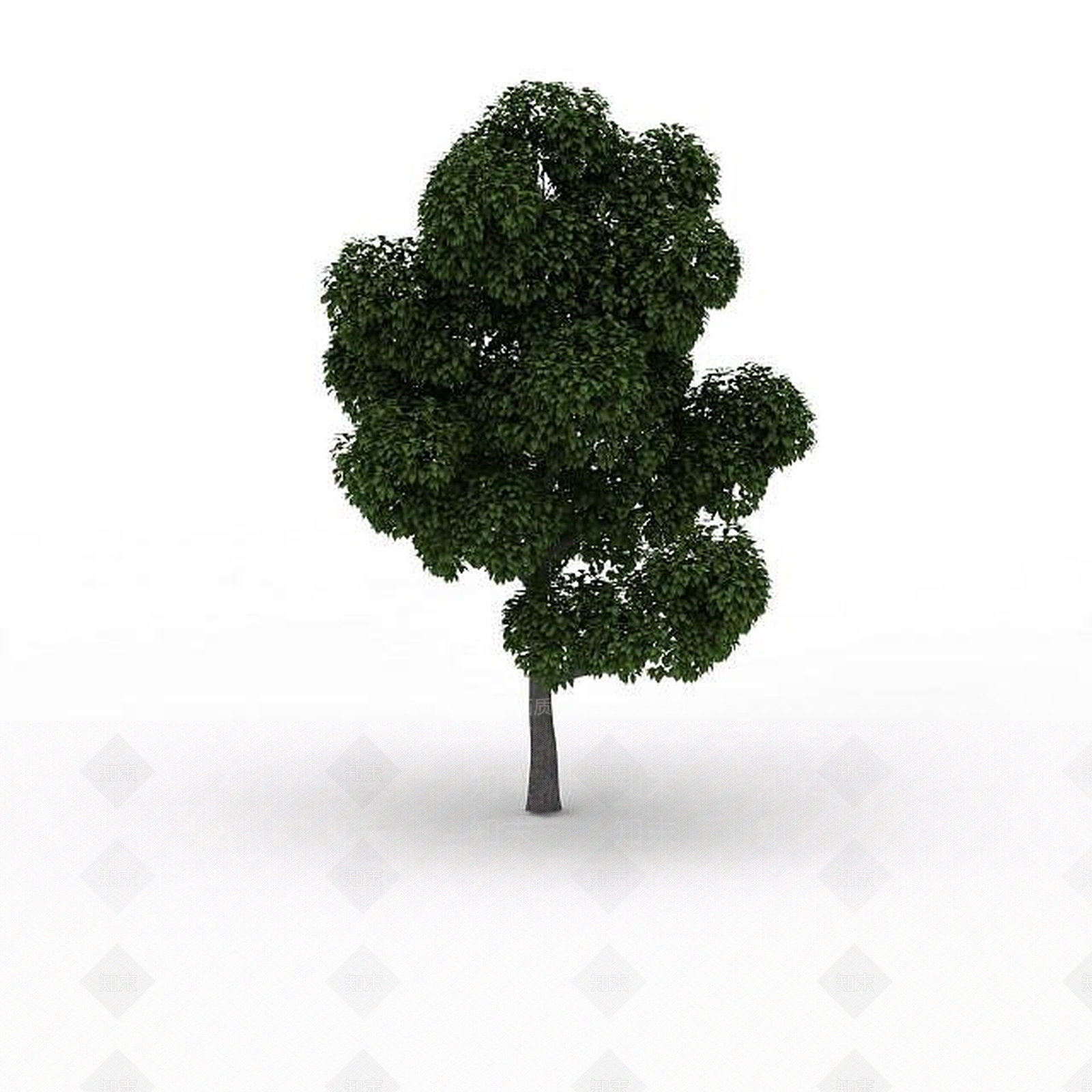 现代景观树3D模型下载【ID:1199037051】