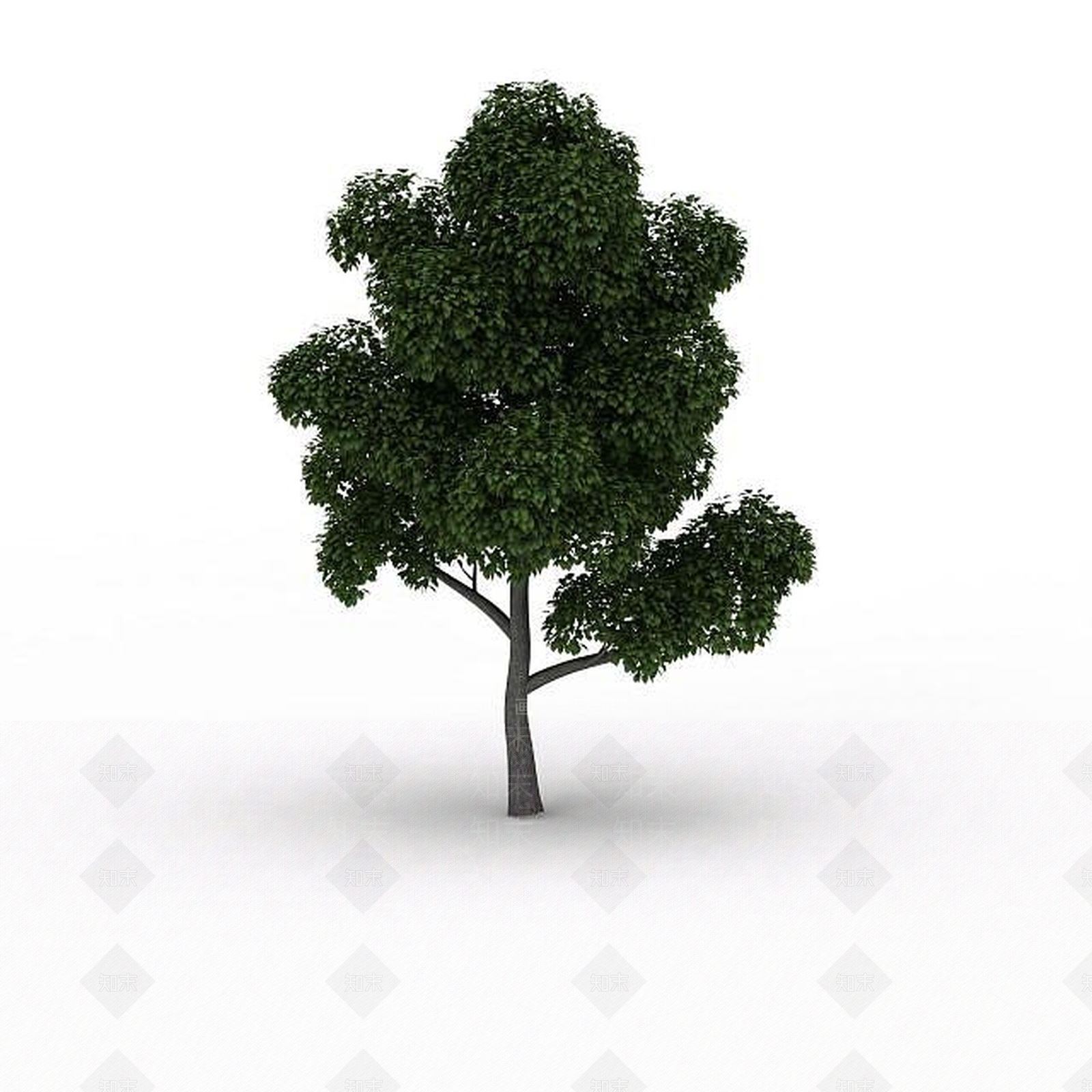 现代景观树3D模型下载【ID:1199037051】