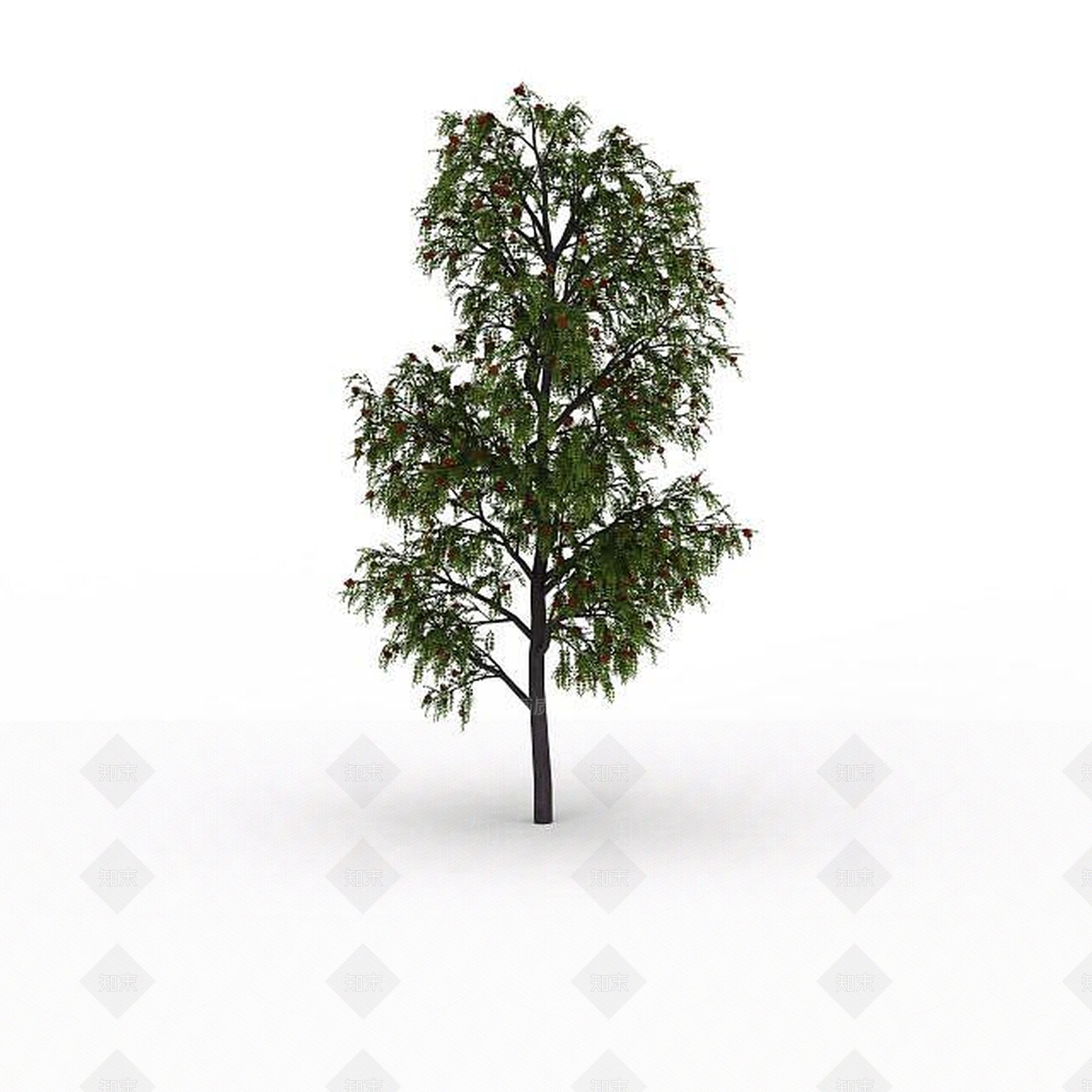 现代公园树3D模型下载【ID:1199037113】