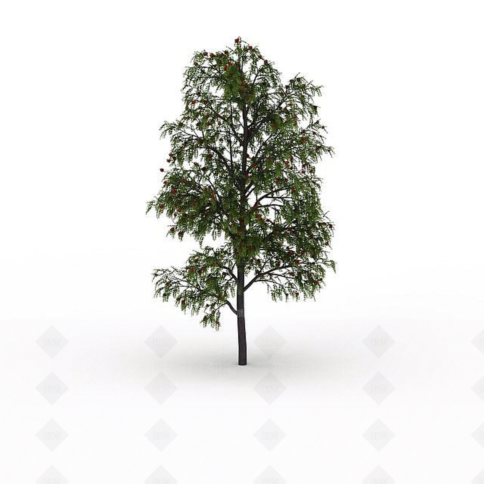 现代公园树3D模型下载【ID:1199037113】