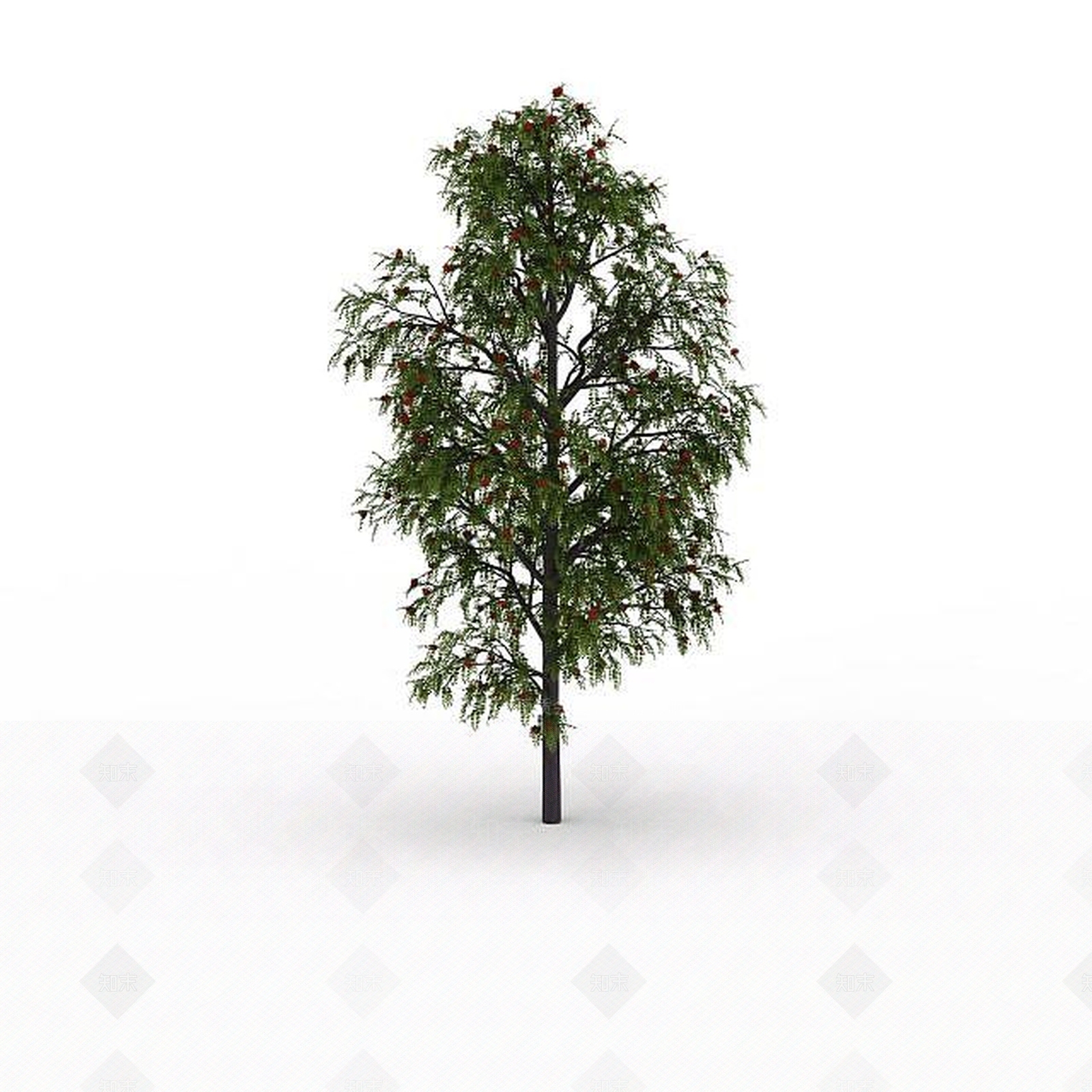现代公园树3D模型下载【ID:1199037113】