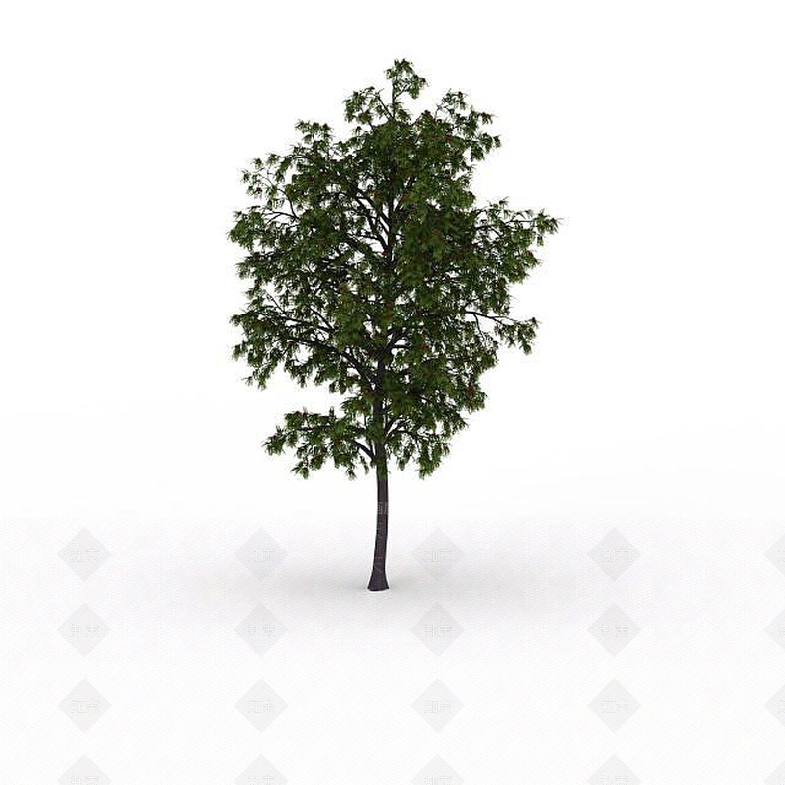 现代公园装饰树3D模型下载【ID:1199037289】