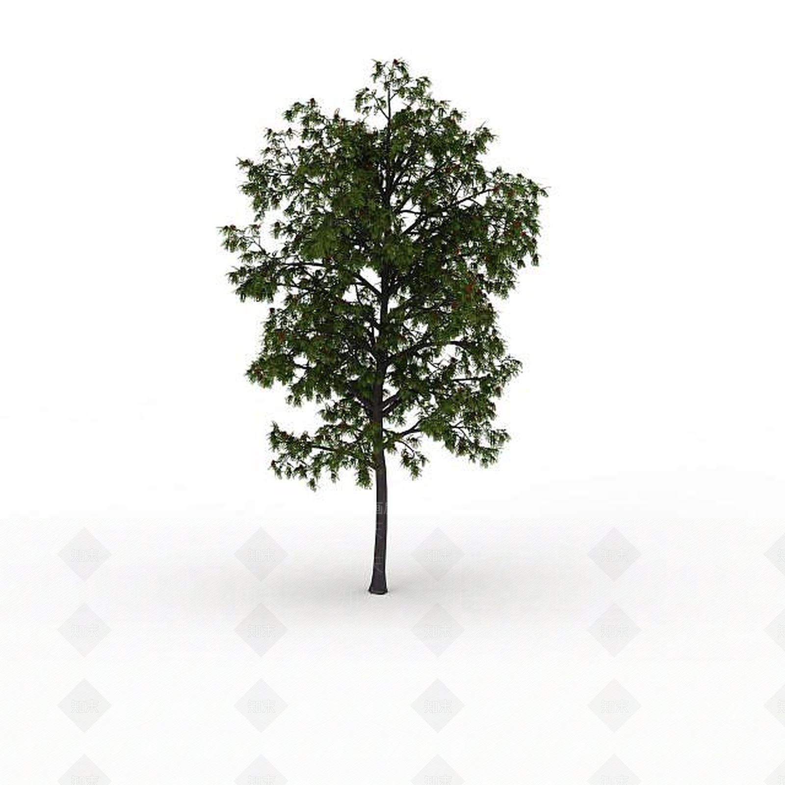 现代公园装饰树3D模型下载【ID:1199037289】