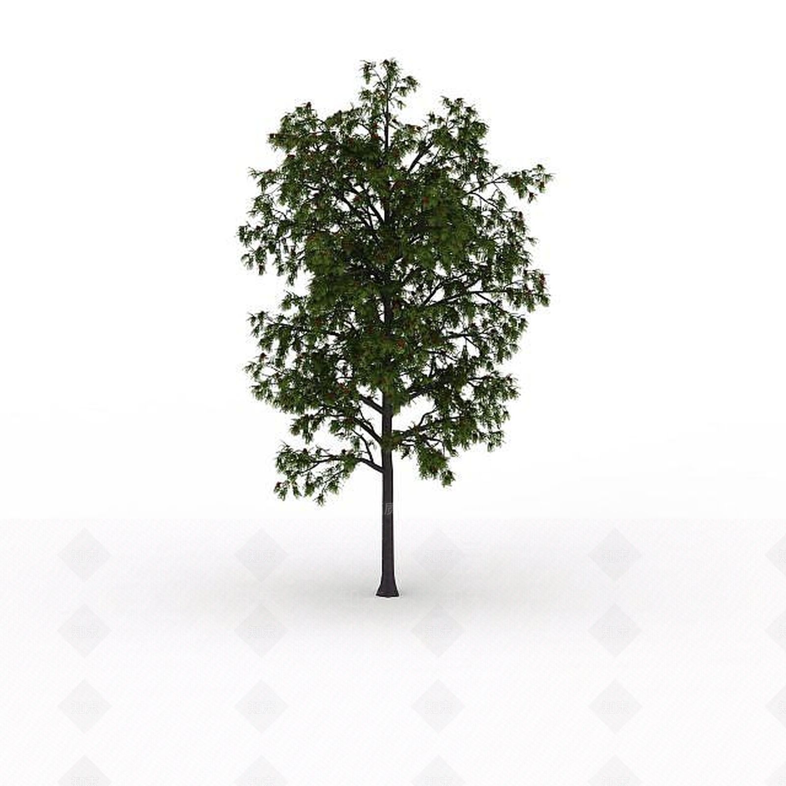 现代公园装饰树3D模型下载【ID:1199037289】