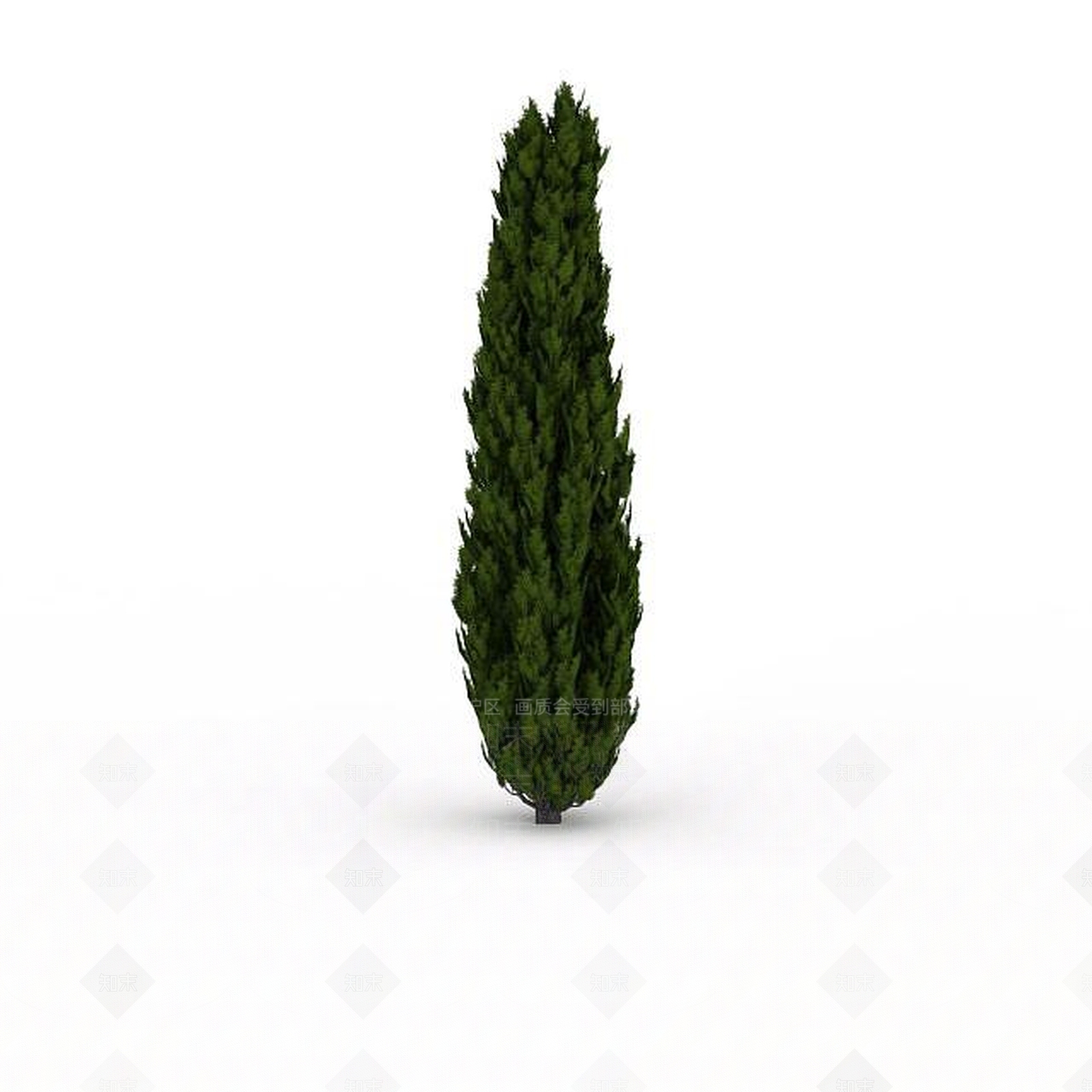 现代水杉3D模型下载【ID:1199037651】
