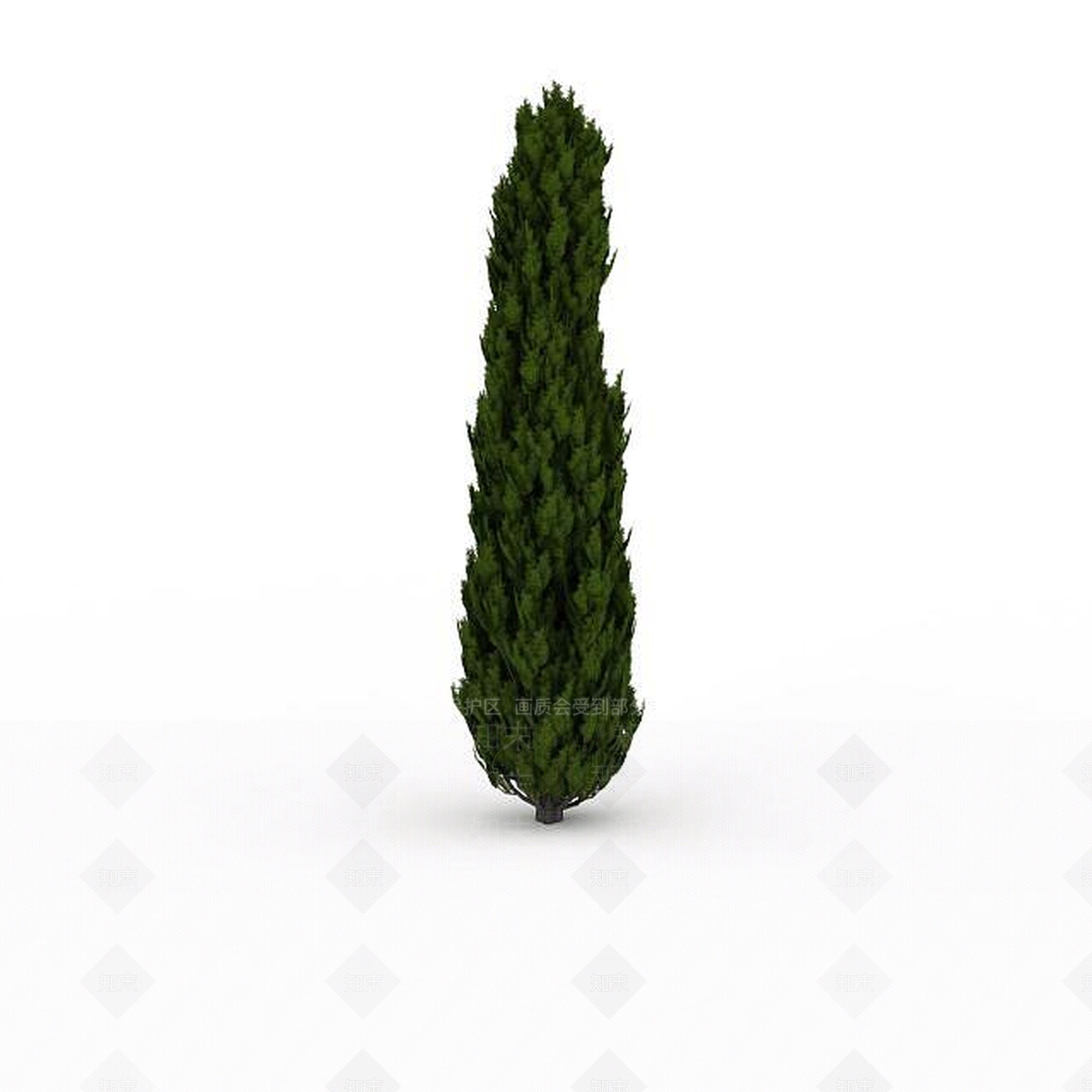 现代水杉3D模型下载【ID:1199037651】