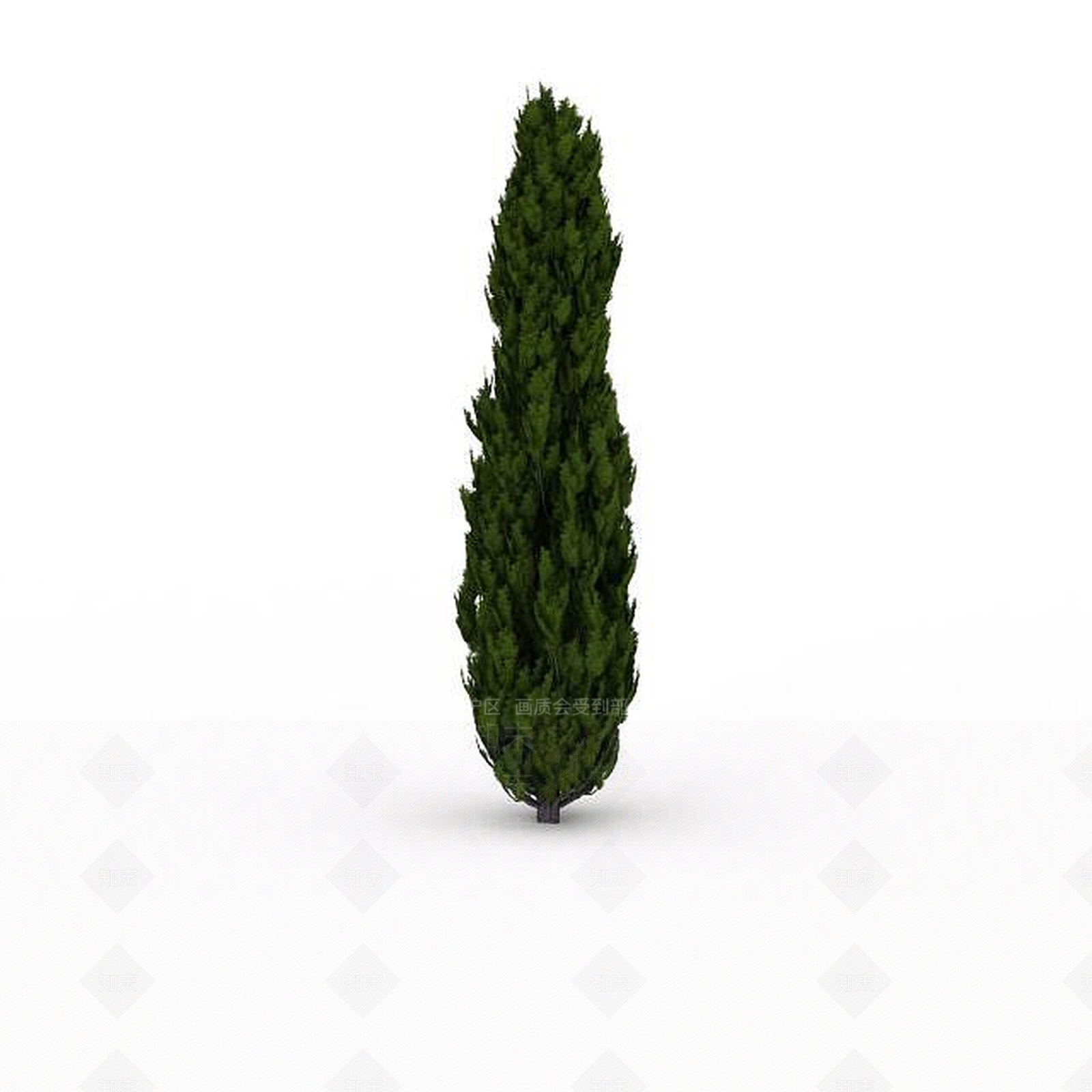 现代水杉3D模型下载【ID:1199037651】