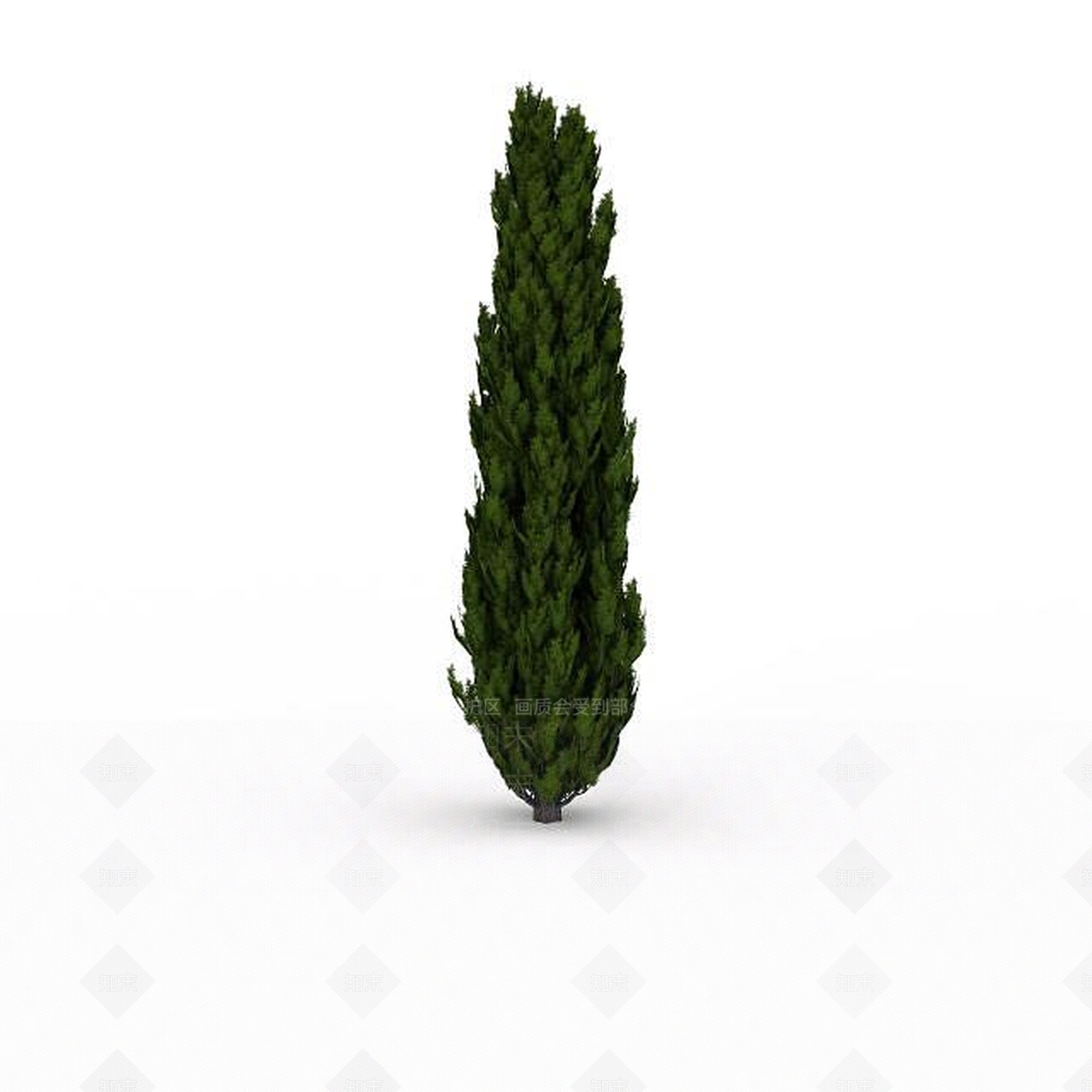 现代水杉3D模型下载【ID:1199037651】