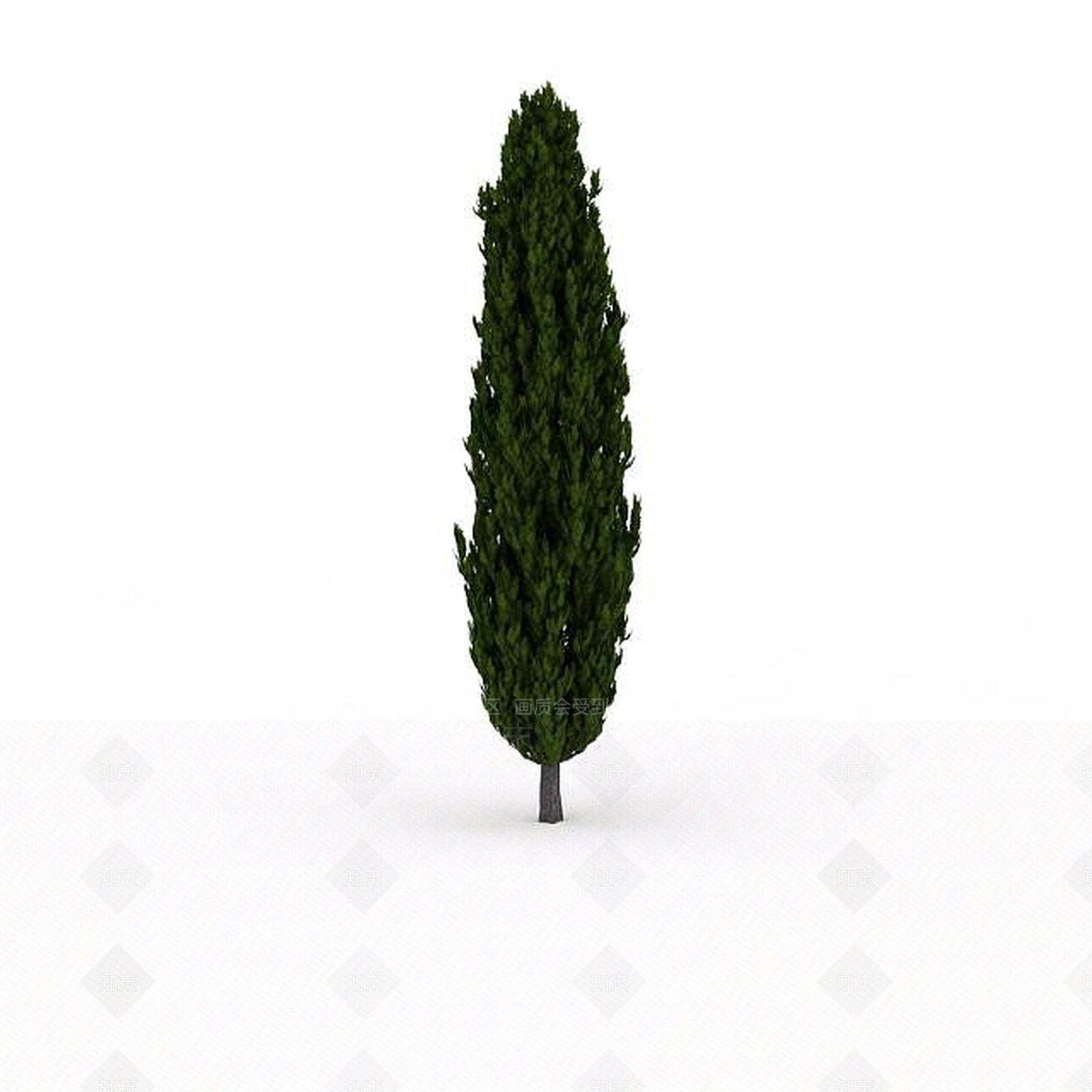 现代景观松树3D模型下载【ID:1199037665】