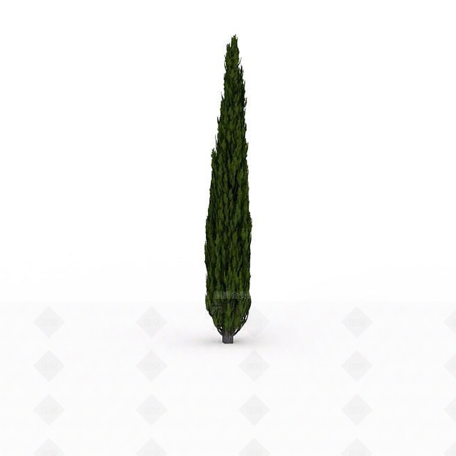 现代公园绿松3D模型下载【ID:1199037814】