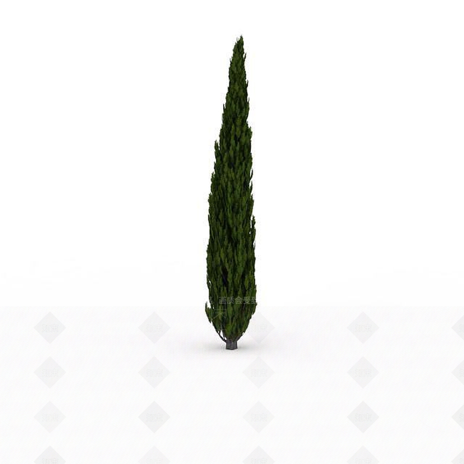 现代公园绿松3D模型下载【ID:1199037814】