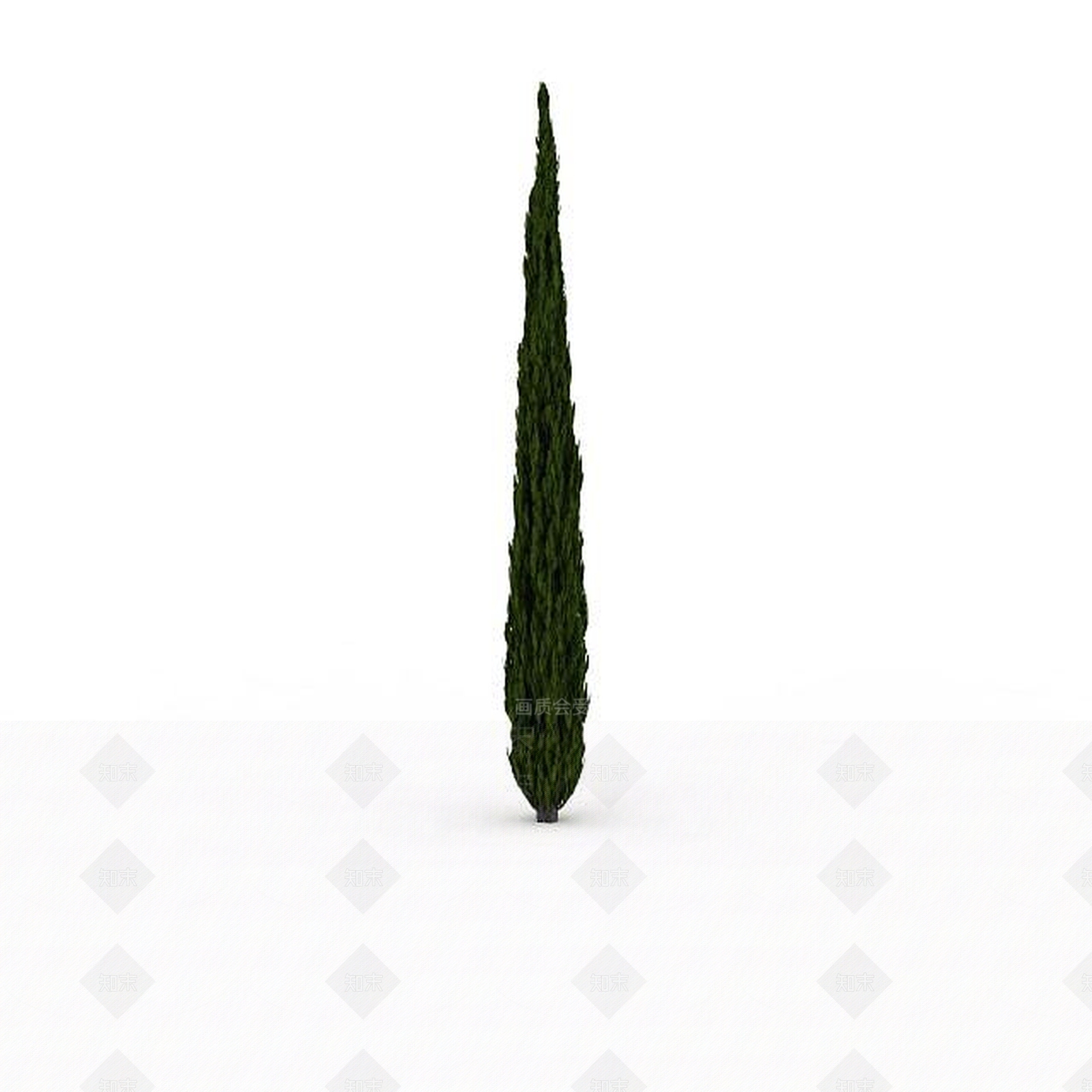 现代室外柏树3D模型下载【ID:1199037887】
