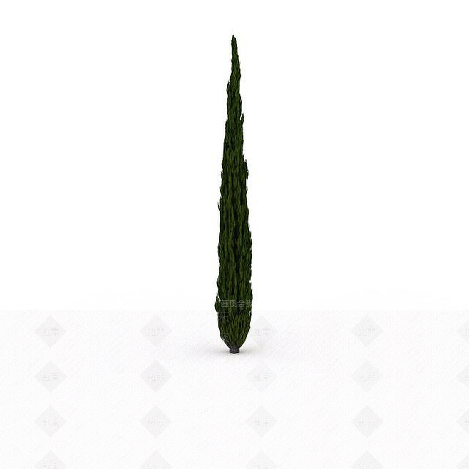 现代室外柏树3D模型下载【ID:1199037887】
