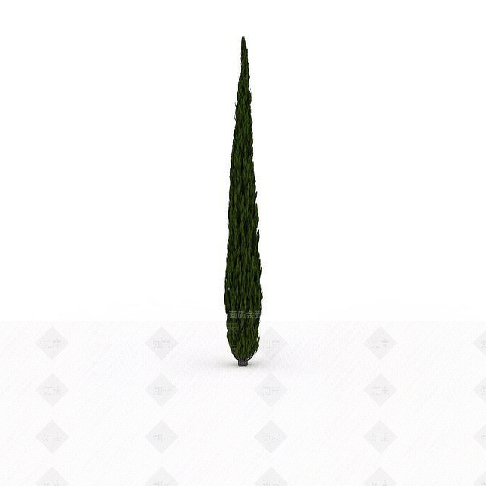 现代室外柏树3D模型下载【ID:1199037887】