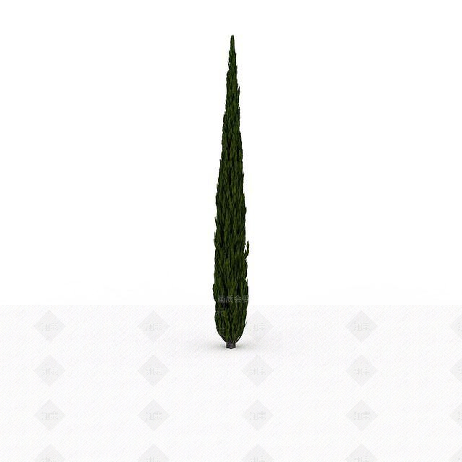 现代室外柏树3D模型下载【ID:1199037887】