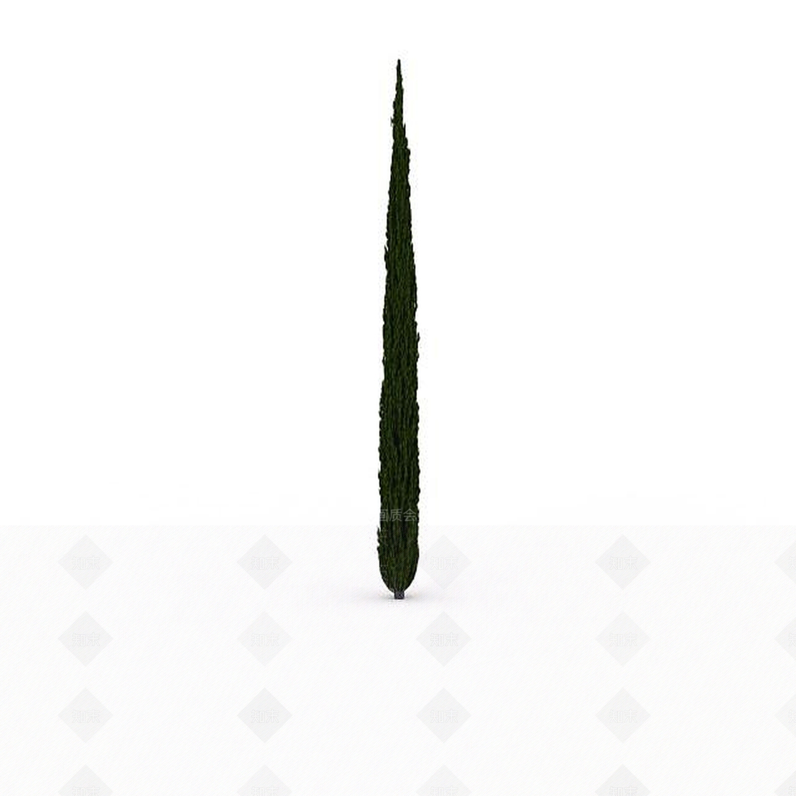 现代室外针形松树3D模型下载【ID:1199037859】