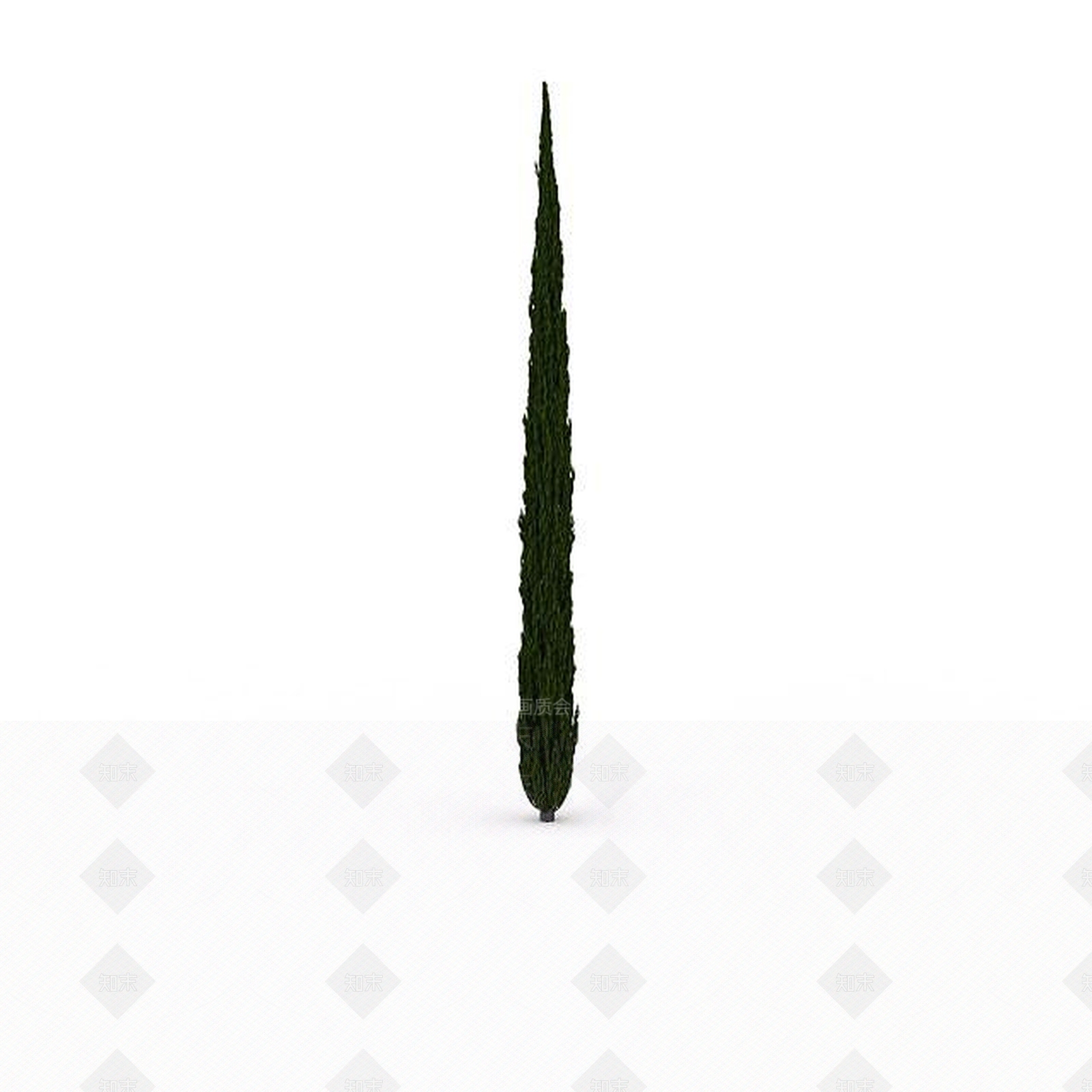 现代室外针形松树3D模型下载【ID:1199037859】