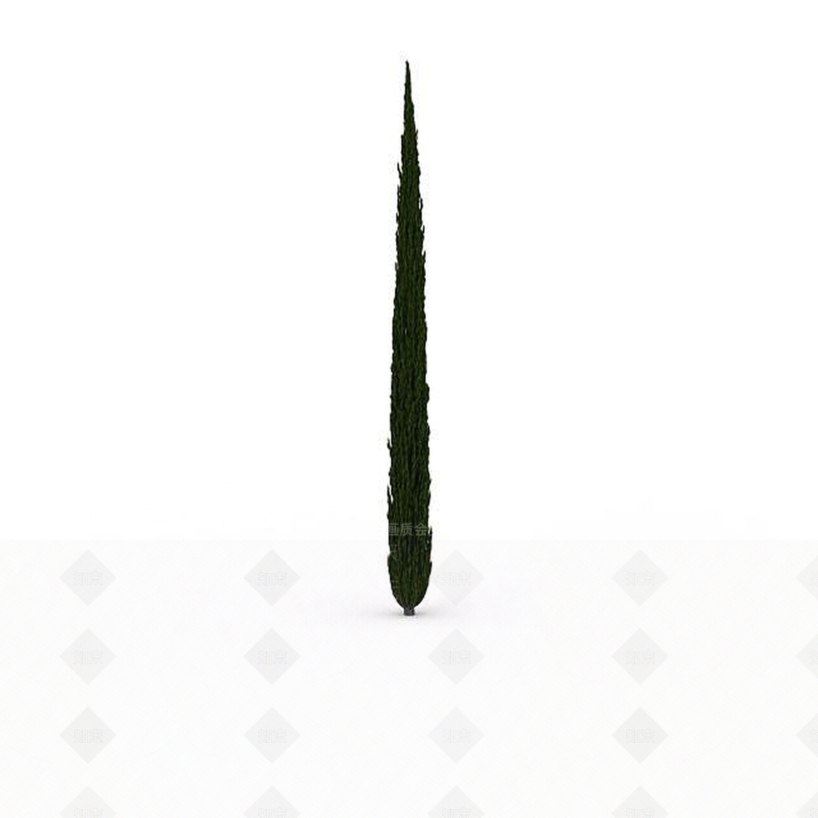 现代室外针形松树3D模型下载【ID:1199037859】