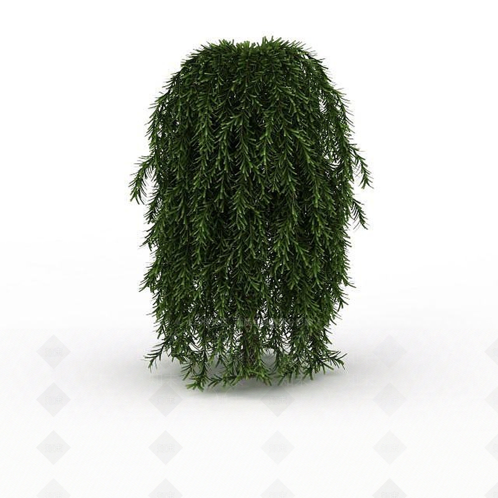 现代公园柳树3D模型下载【ID:1199038659】