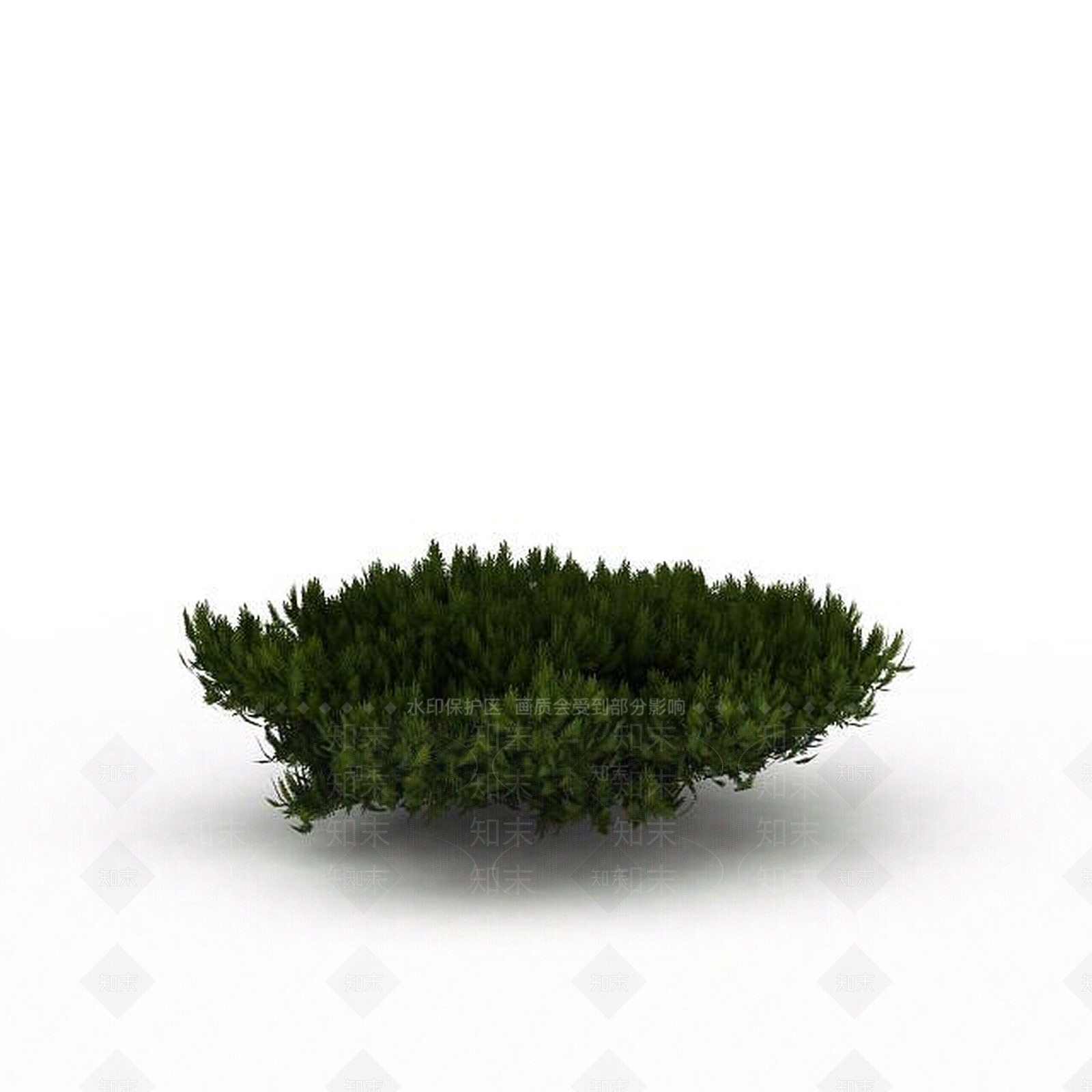 现代园林柏树3D模型下载【ID:1199038884】
