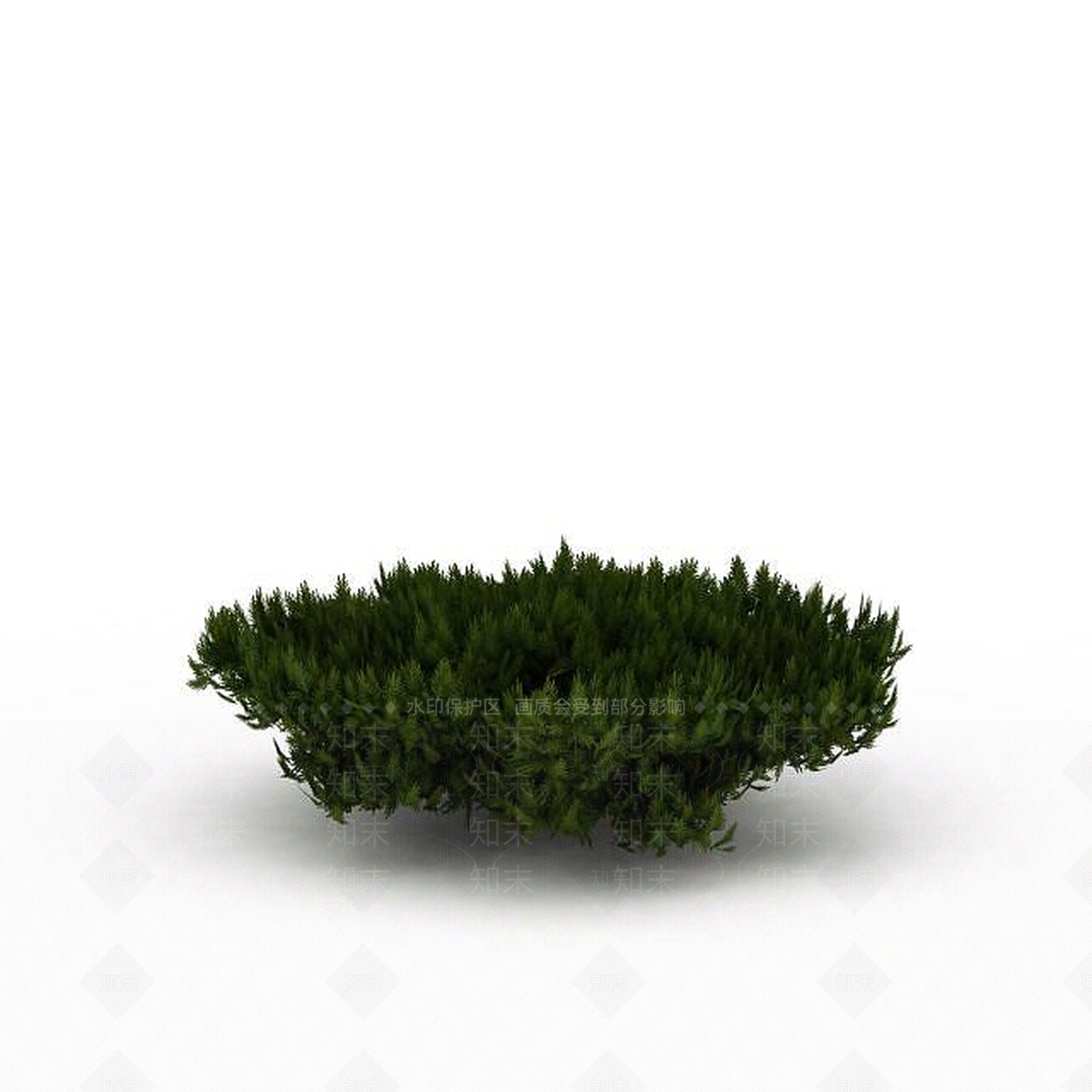 现代园林柏树3D模型下载【ID:1199038884】