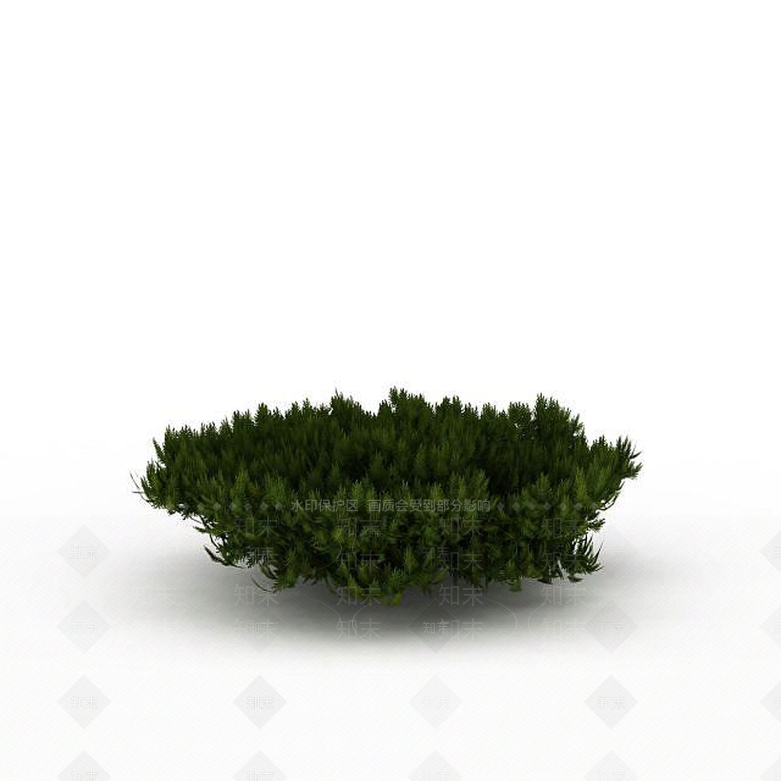 现代园林柏树3D模型下载【ID:1199038884】