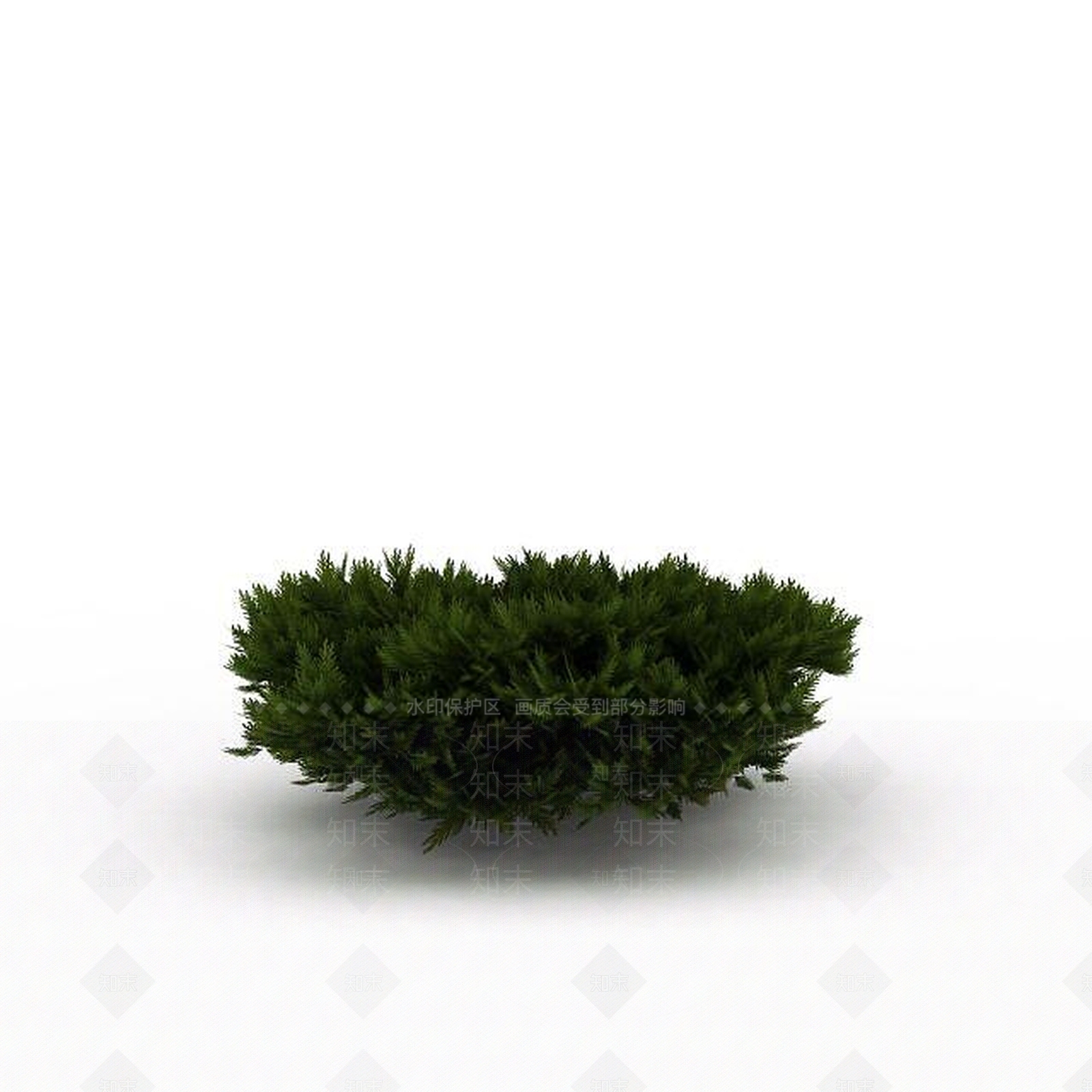 现代园林柏树3D模型下载【ID:1199038847】