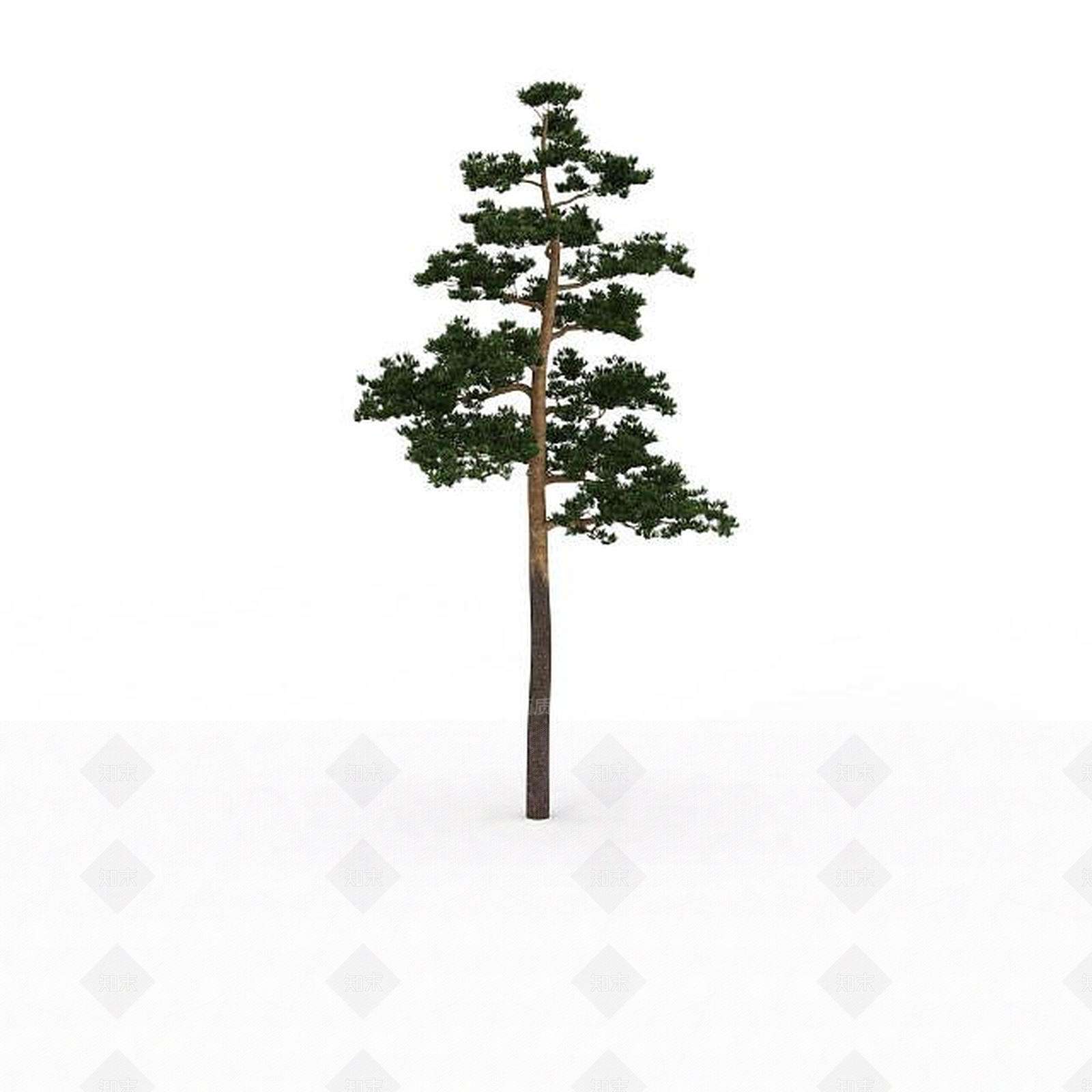 现代园林景观树3D模型下载【ID:1199039333】