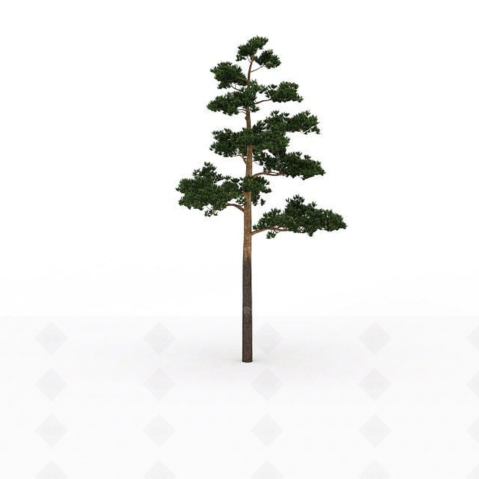现代道路两侧树3D模型下载【ID:1199039474】