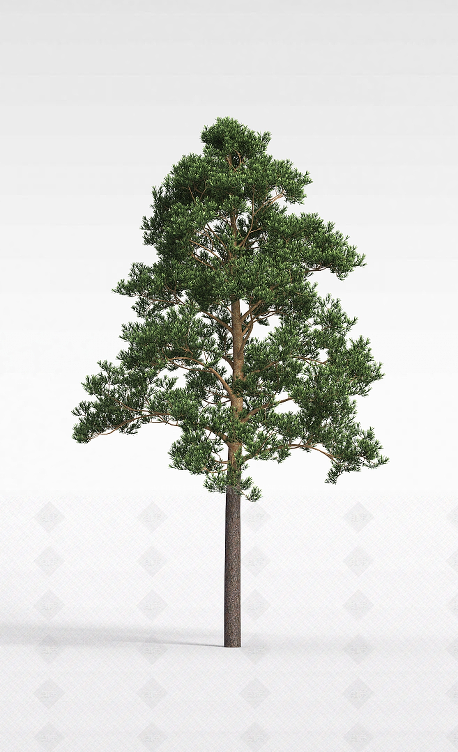 现代园林观赏植被3D模型下载【ID:1199039952】