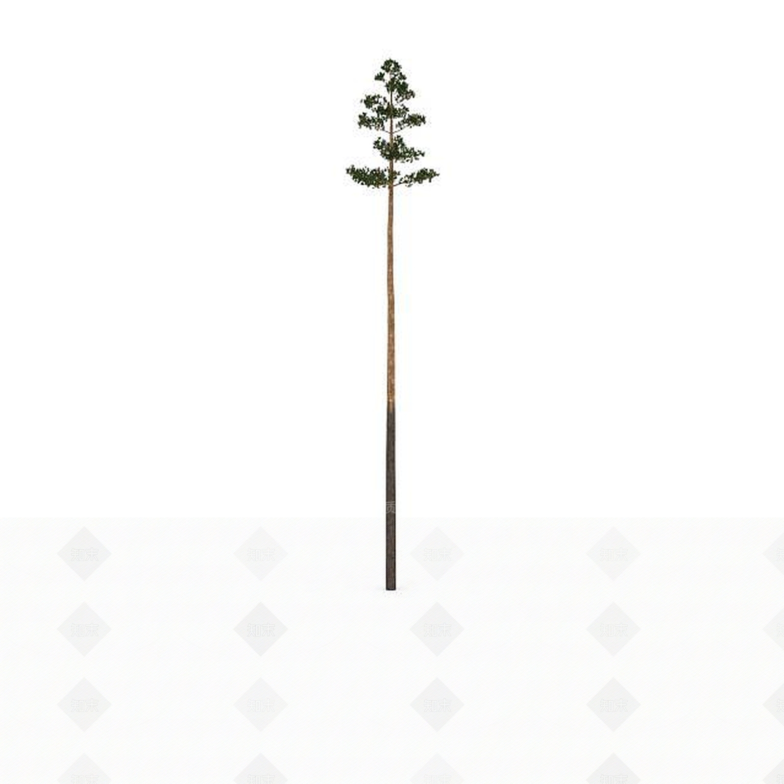 现代景观树3D模型下载【ID:1199040252】