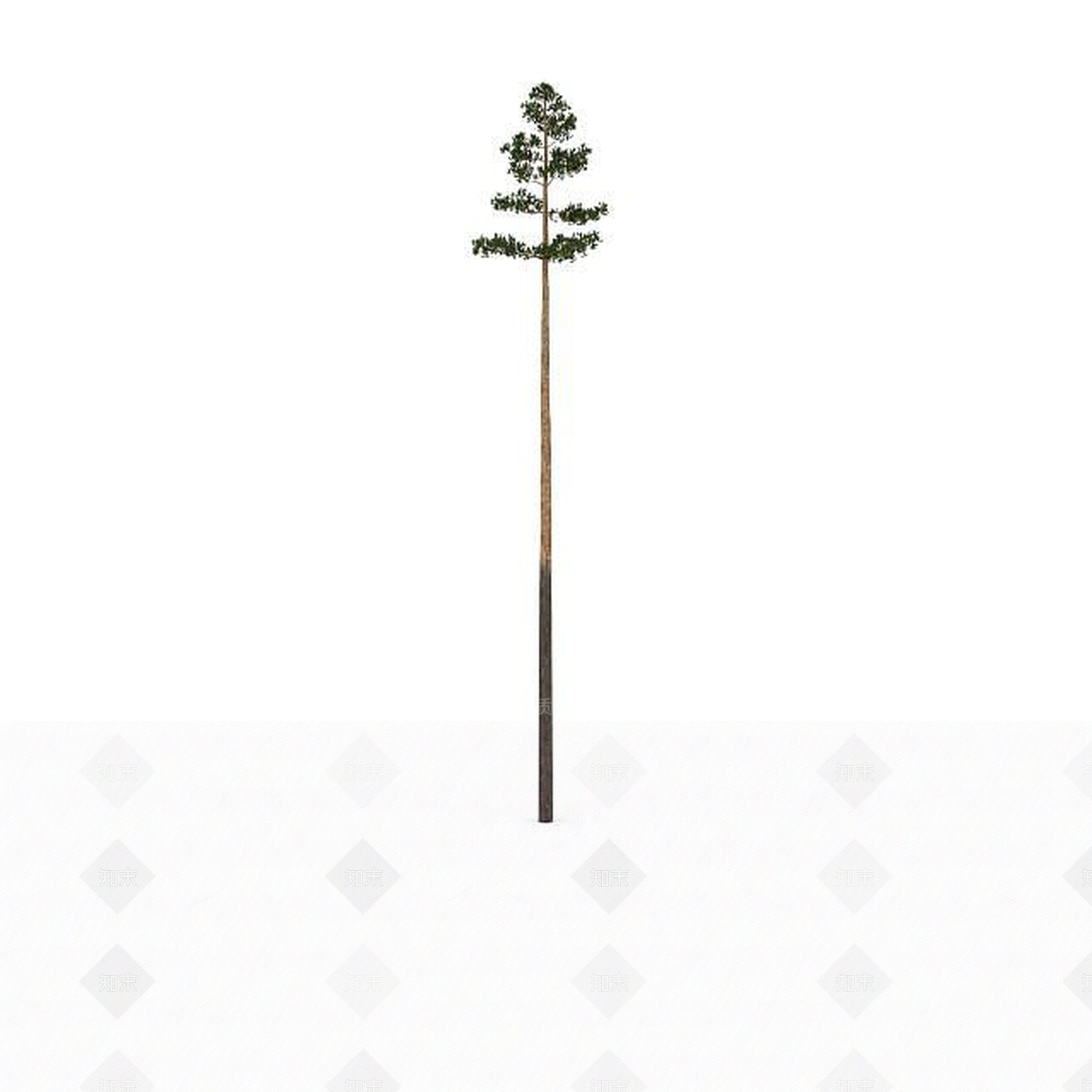 现代景观树3D模型下载【ID:1199040252】