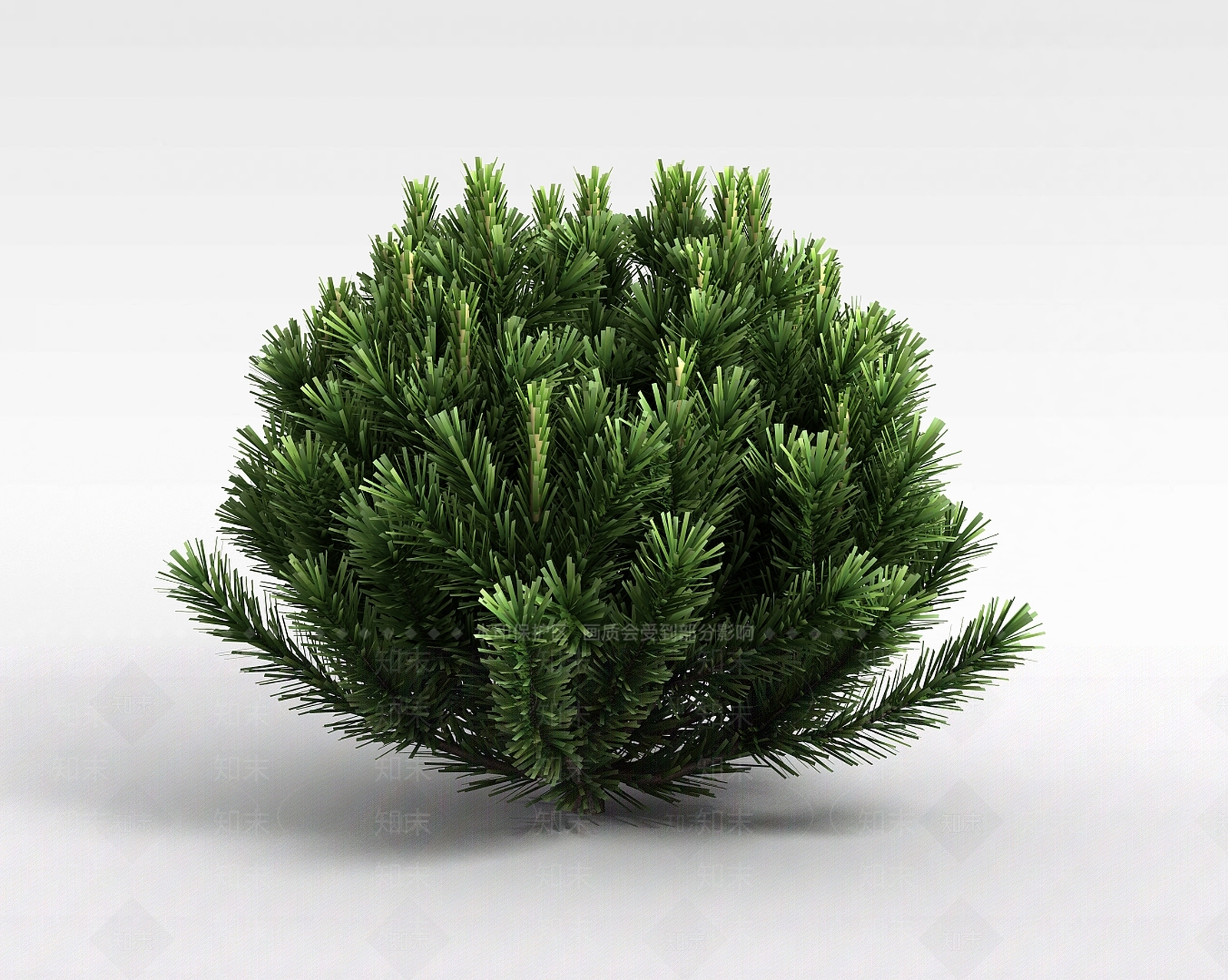 现代针叶植被3D模型下载【ID:1199040278】