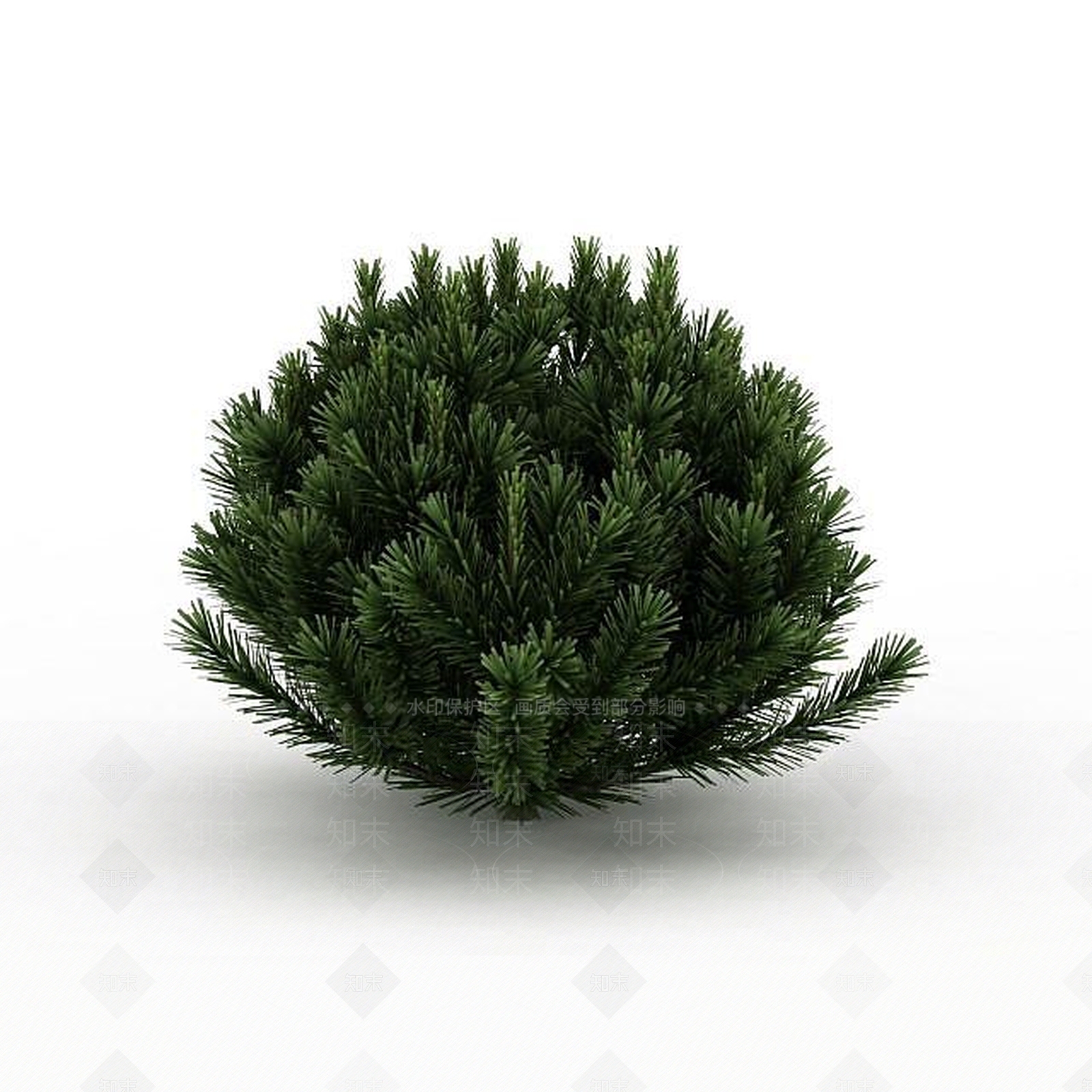 现代针叶植被3D模型下载【ID:1199040278】