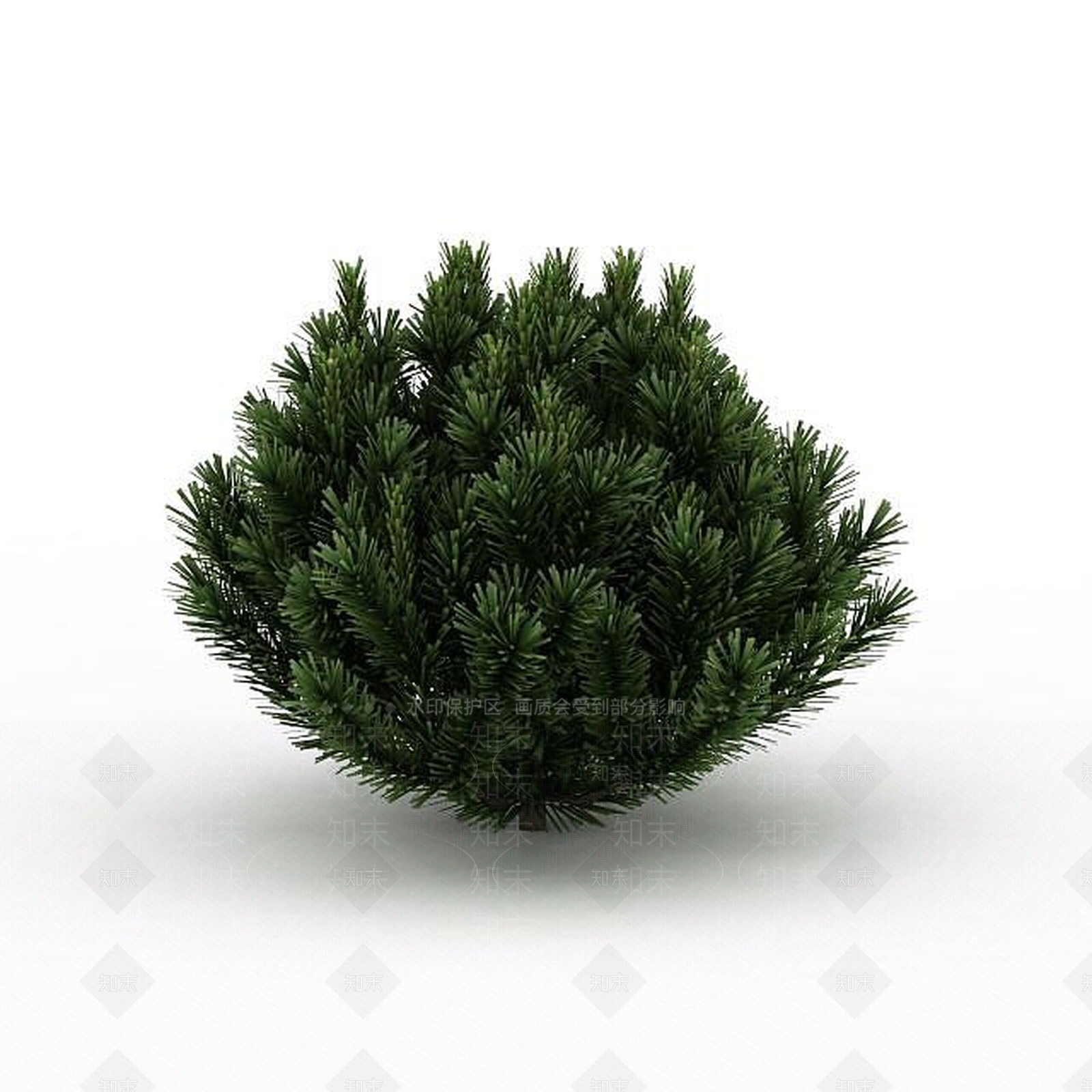 现代针叶植被3D模型下载【ID:1199040278】