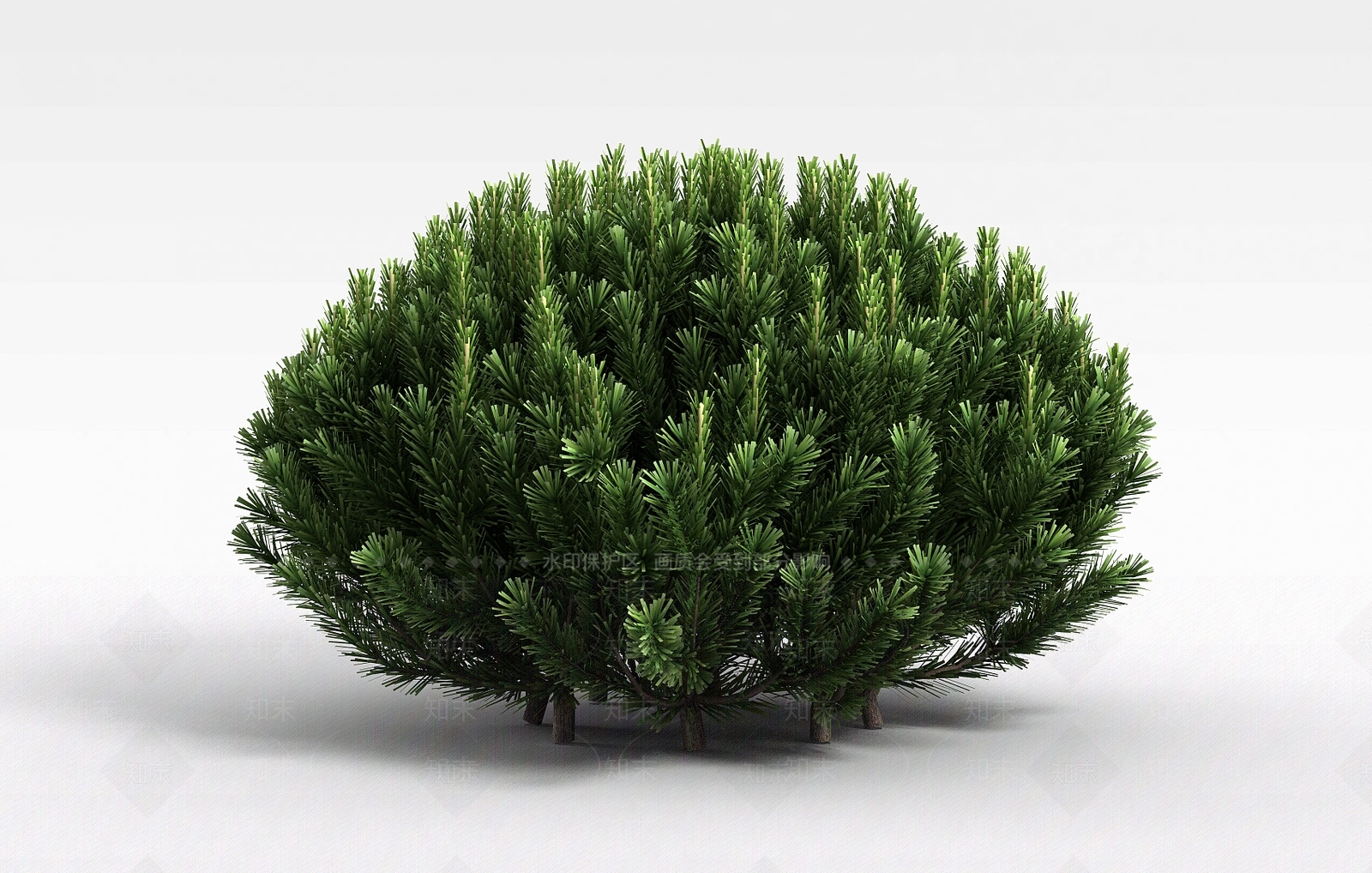 现代常青植被3D模型下载【ID:1199040348】