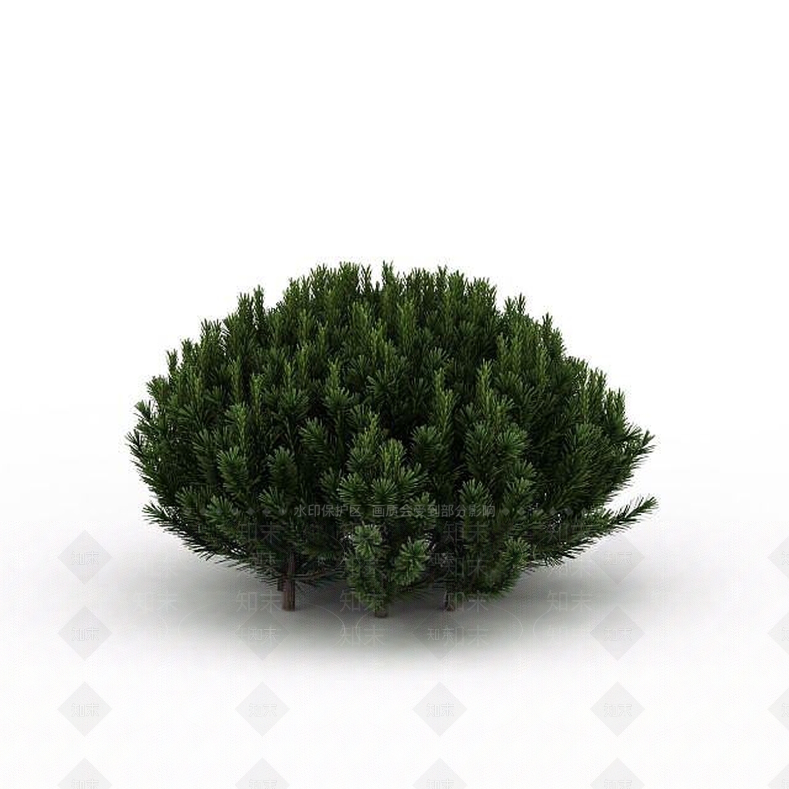 现代常青植被3D模型下载【ID:1199040348】