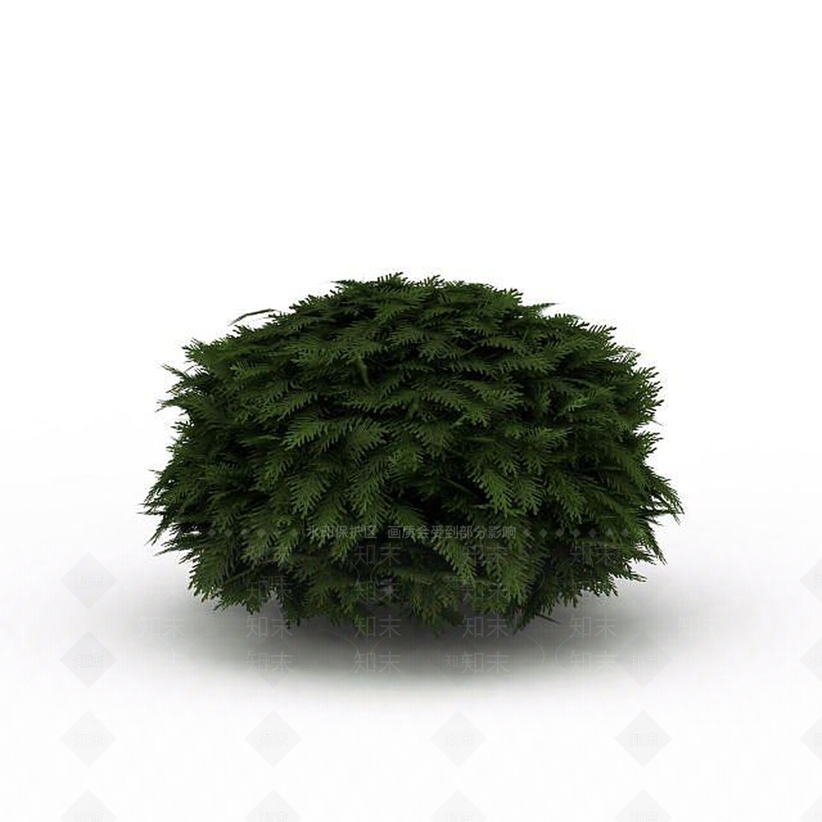 现代常青灌木3D模型下载【ID:1199040584】