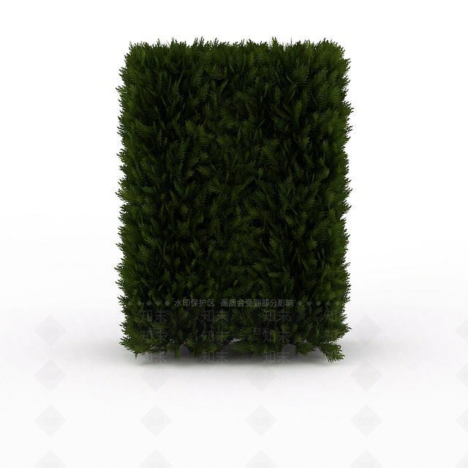 现代常青植被3D模型下载【ID:1199040746】