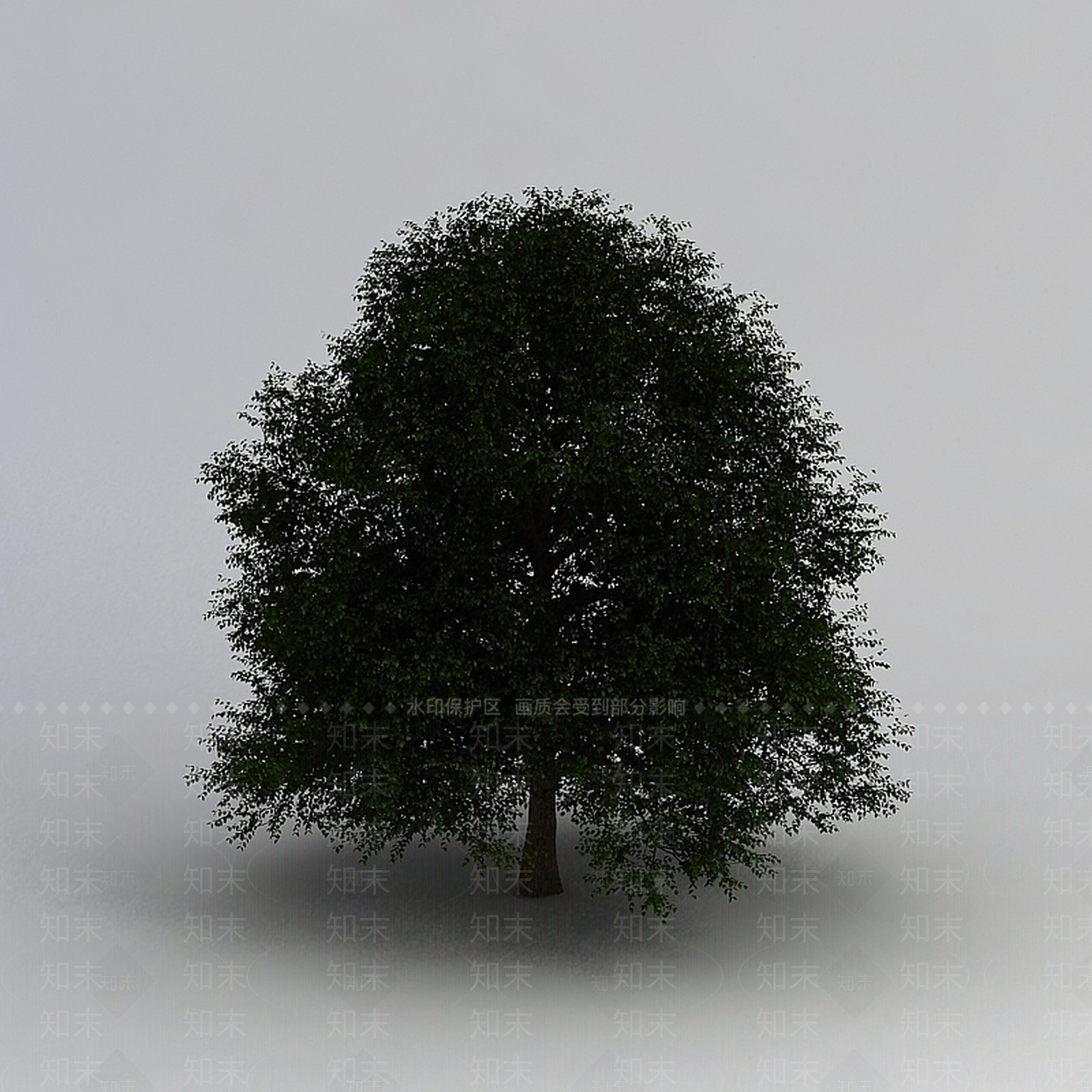 现代室外景观树3D模型下载【ID:1199053890】